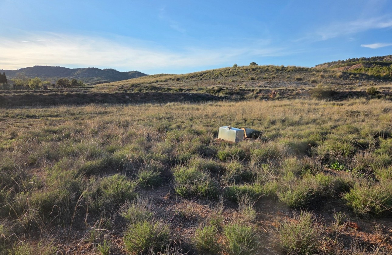 Revente - Parcelle Terrain -
Yecla