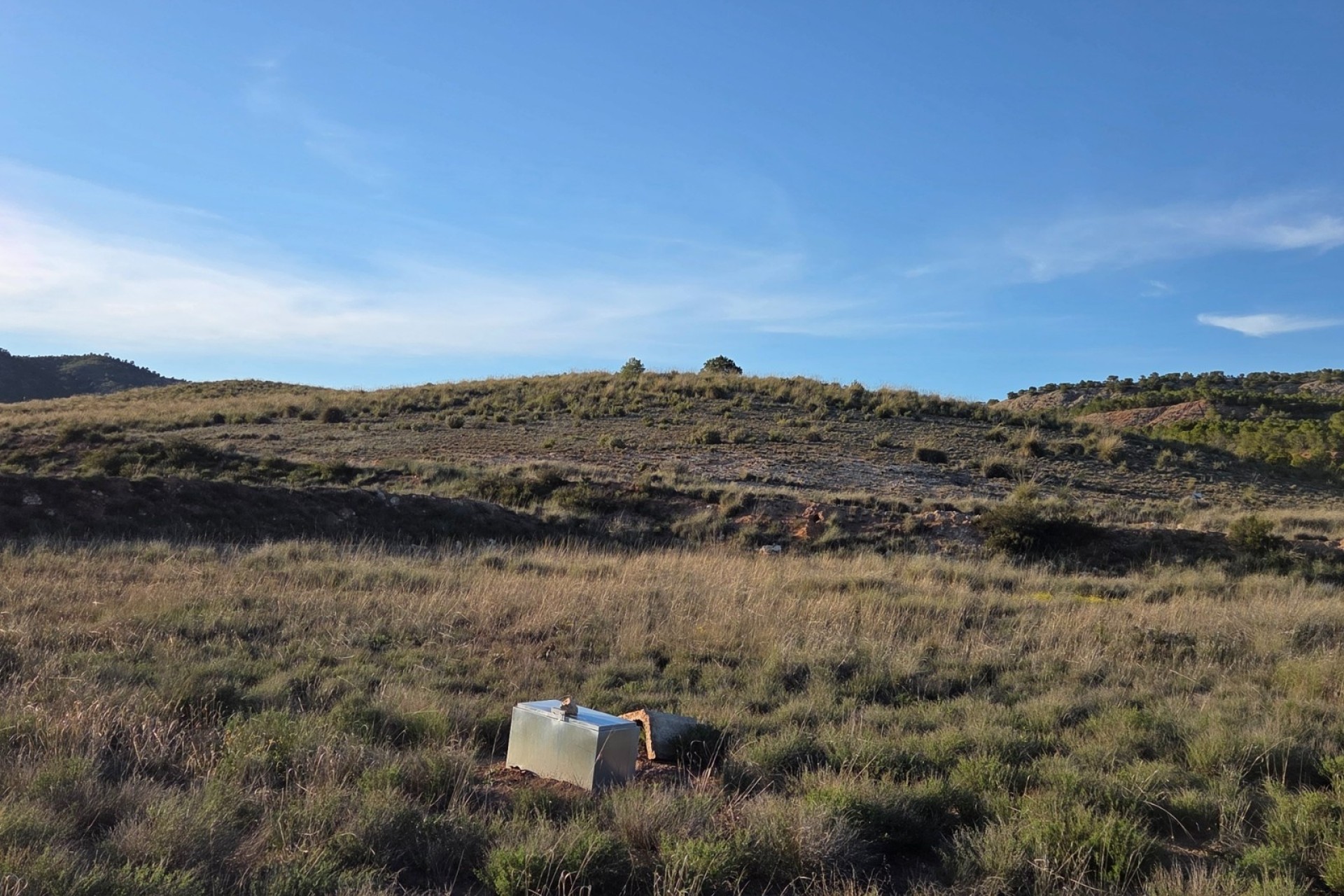 Revente - Parcelle Terrain -
Yecla