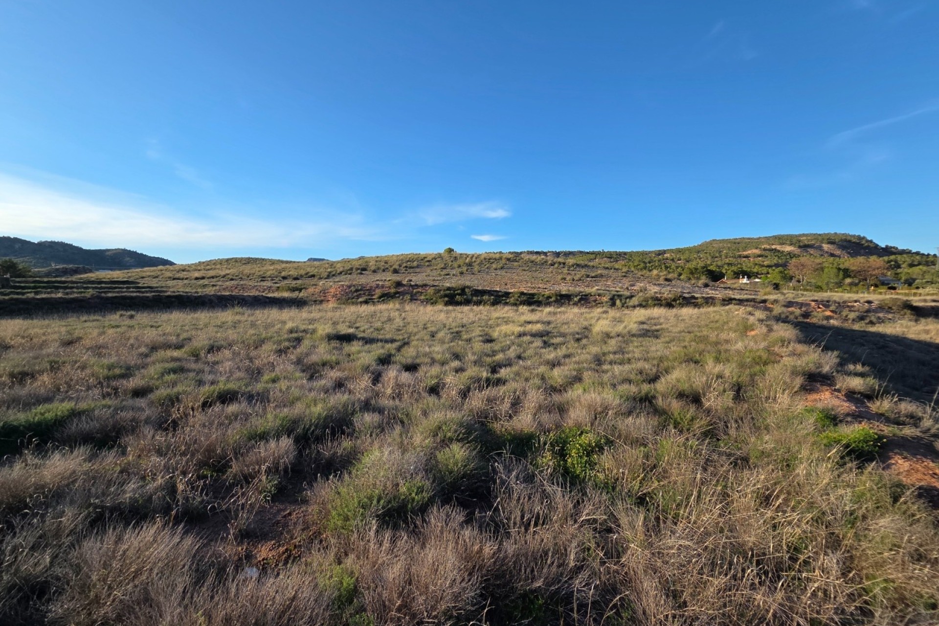 Revente - Parcelle Terrain -
Yecla