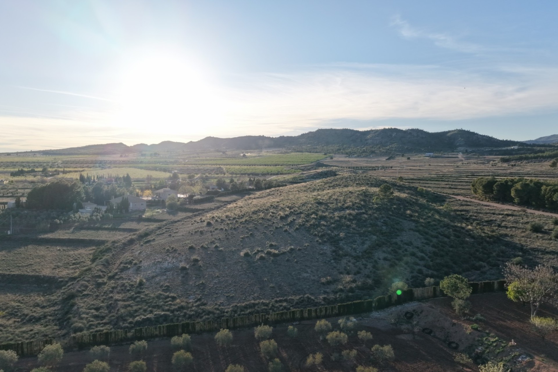 Revente - Parcelle Terrain -
Yecla