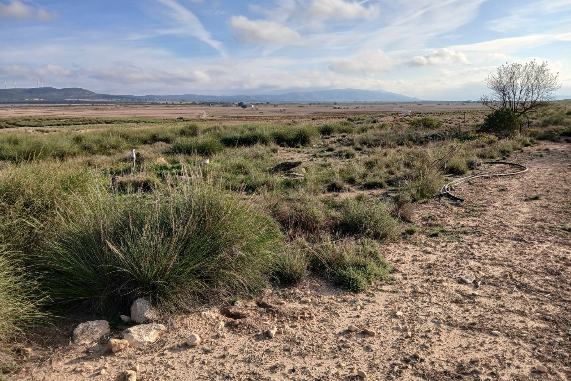 Revente - Parcelle Terrain -
Yecla