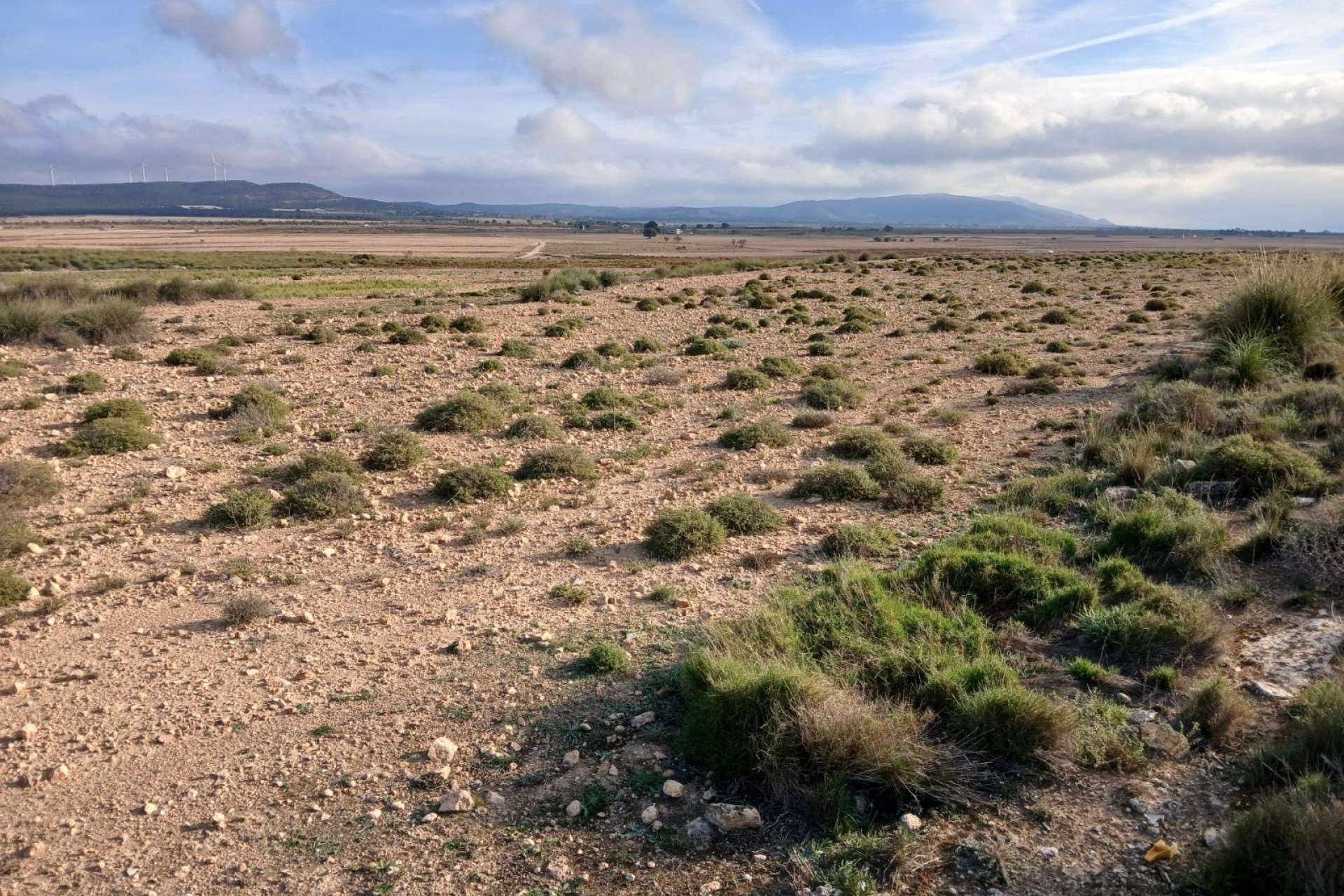 Revente - Parcelle Terrain -
Yecla