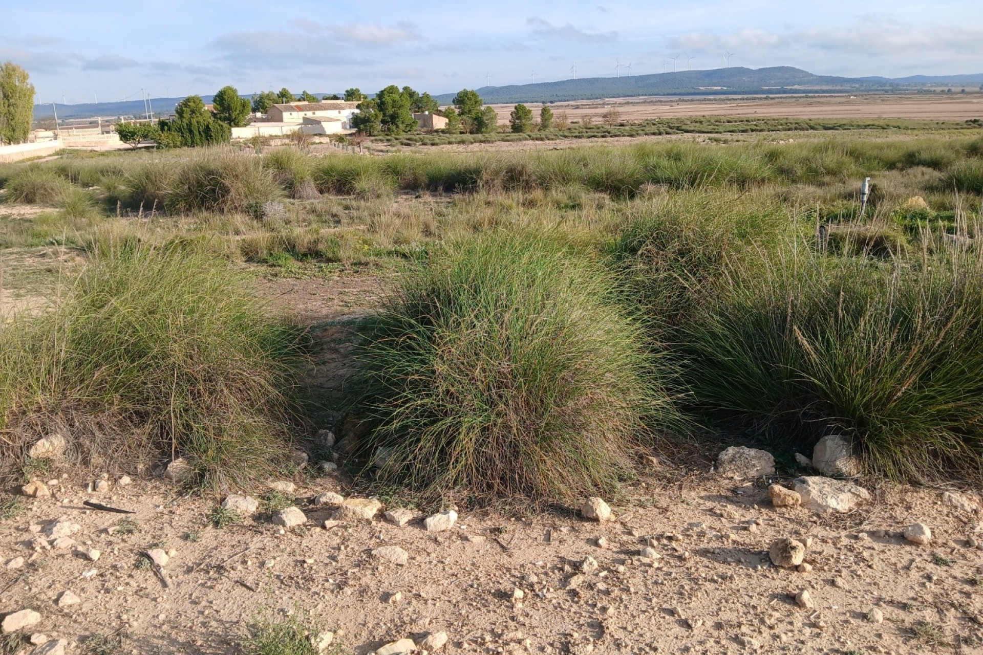 Revente - Parcelle Terrain -
Yecla