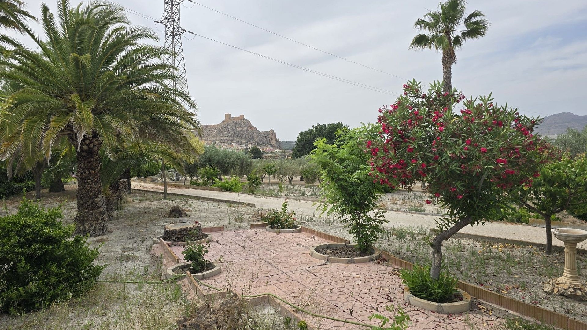 Revente - Projet d'investissement -
SAX