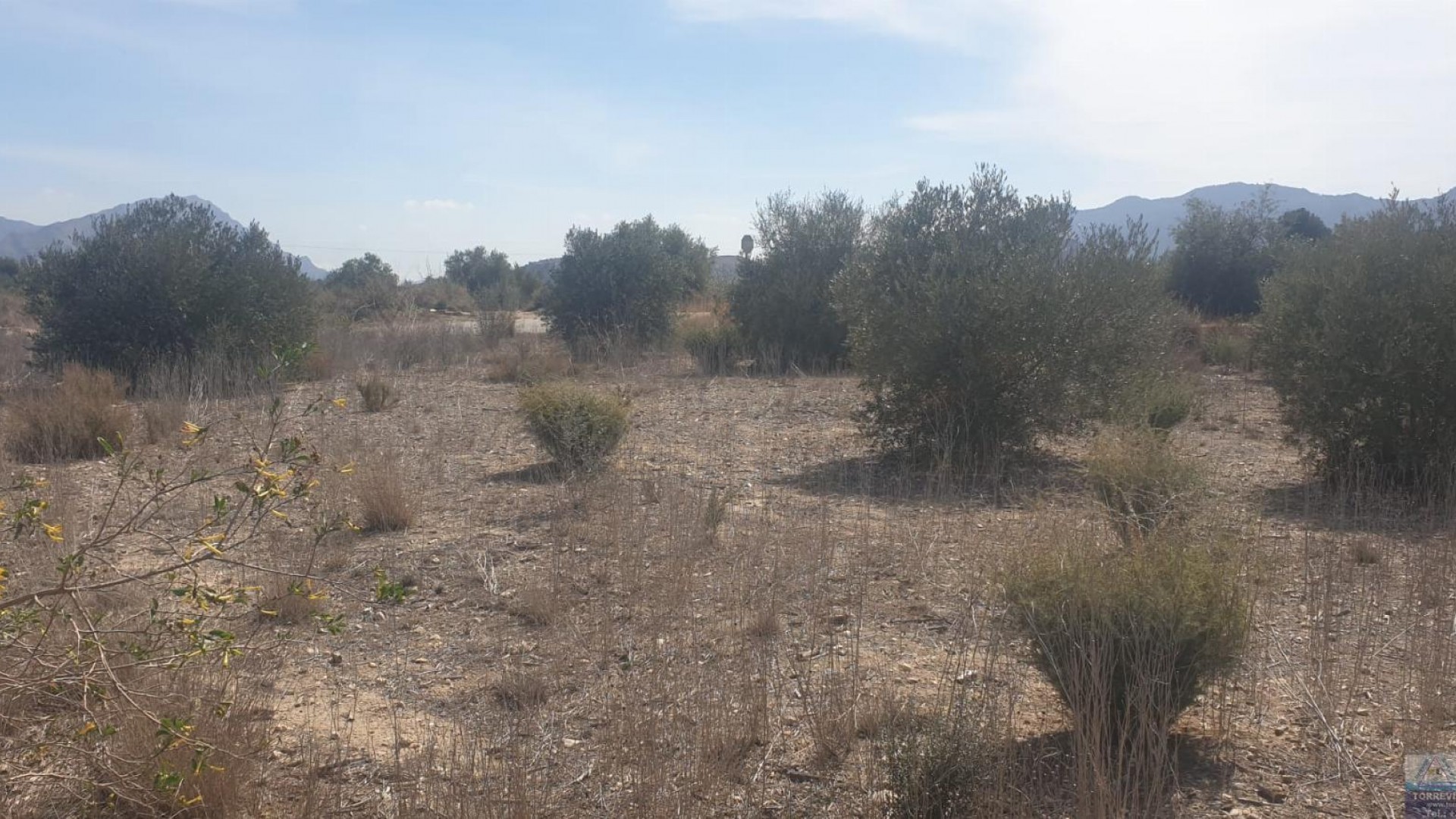 Revente - Terreno -
Benferri - HUERTA PUEBLO