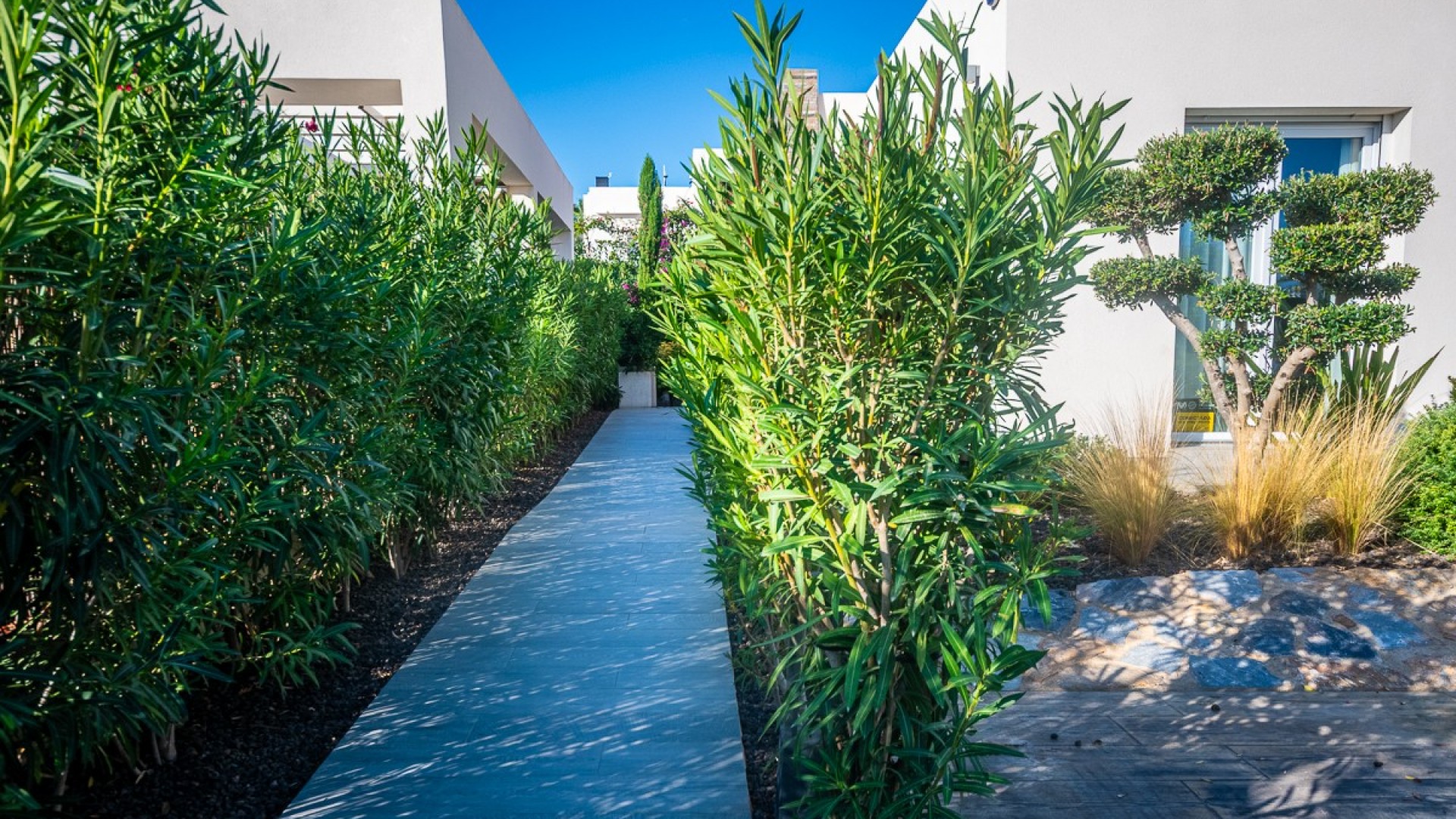 Revente - Villa Individuelle -
Algorfa - LA FINCA GOLF / ALGORFA