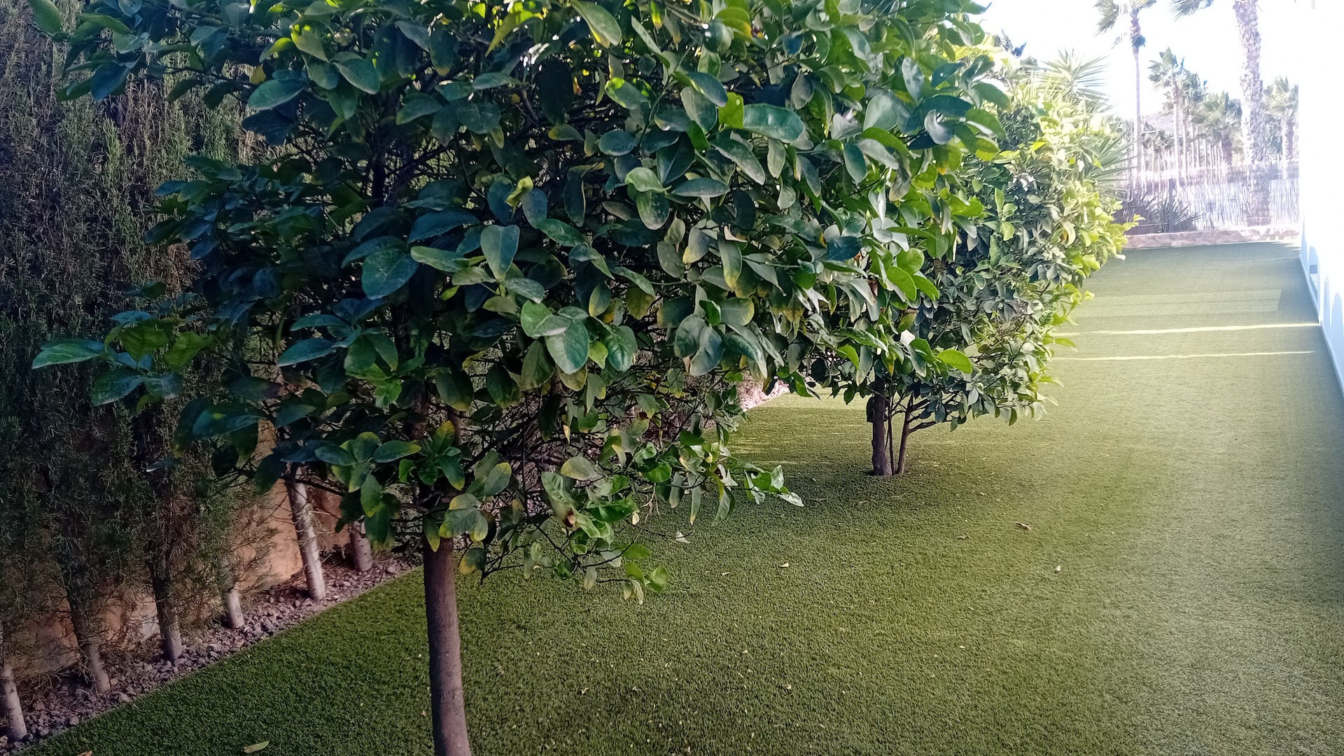 Revente - Villa Individuelle -
Algorfa - La Finca Golf