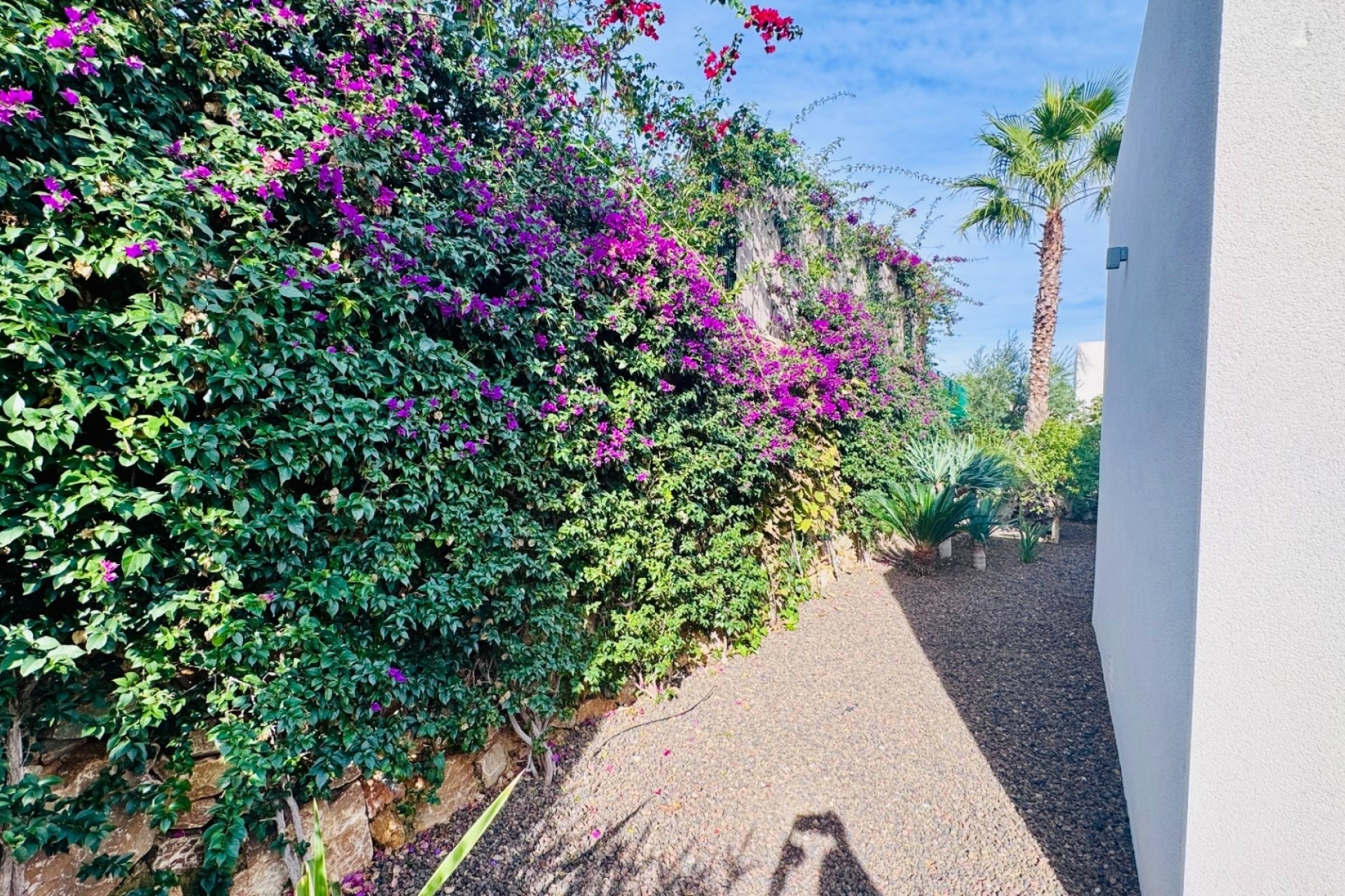 Revente - Villa Individuelle -
Algorfa