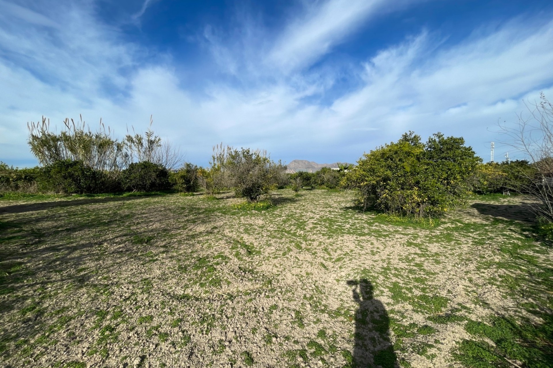 Revente - Villa Individuelle -
Benejúzar - Comunidad Valenciana