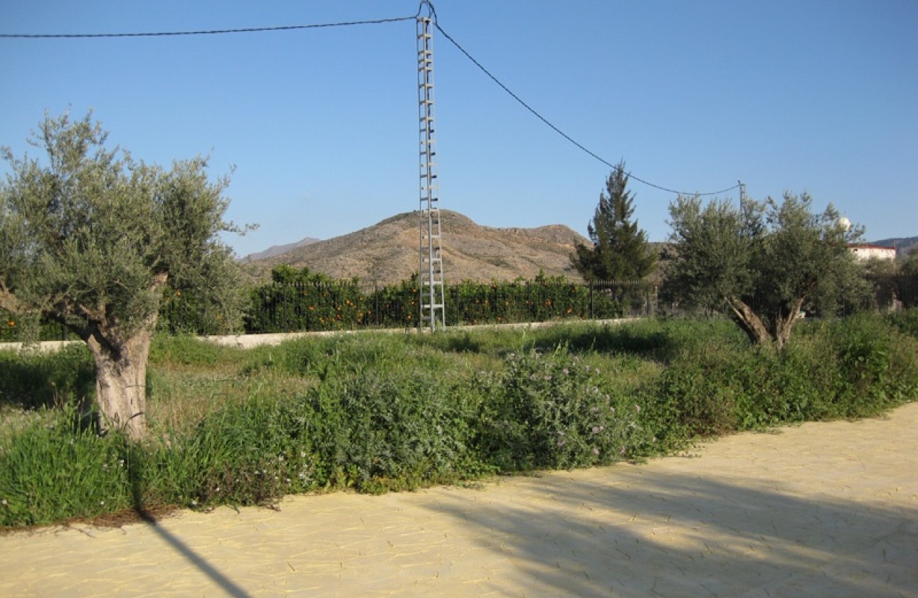 Revente - Villa Individuelle -
Benferri