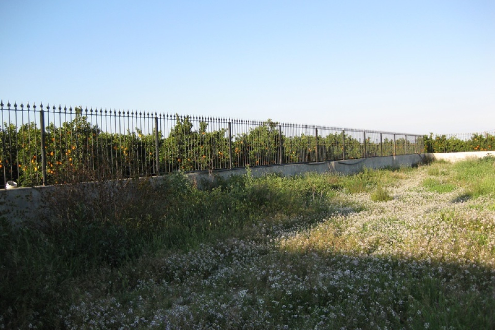 Revente - Villa Individuelle -
Benferri