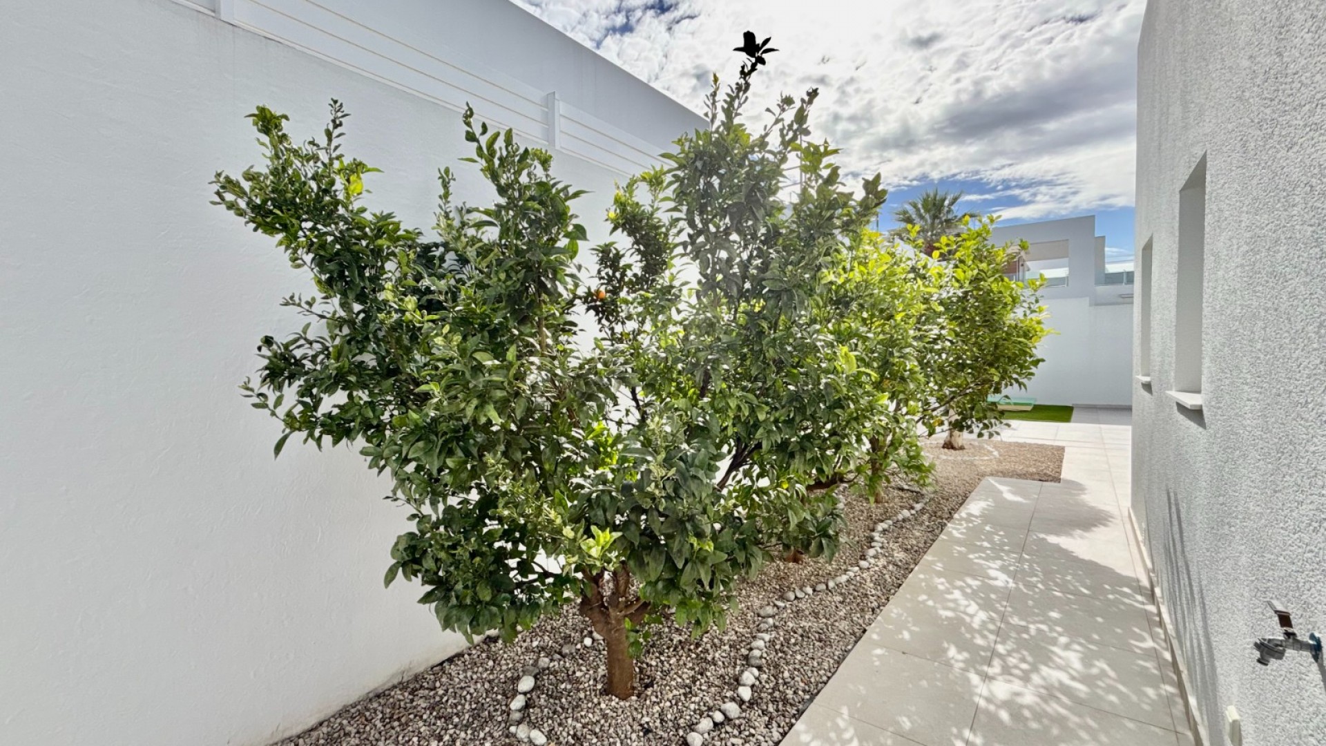 Revente - Villa Individuelle -
Benijofar - Benijofar - Village