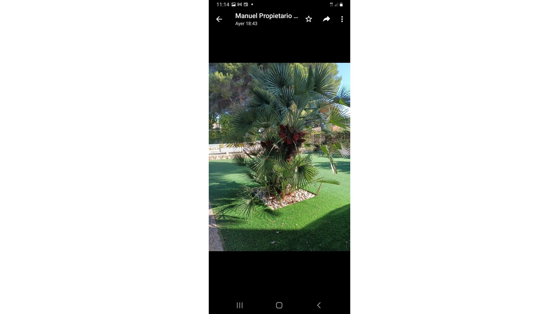 Revente - Villa Individuelle -
Campoamor