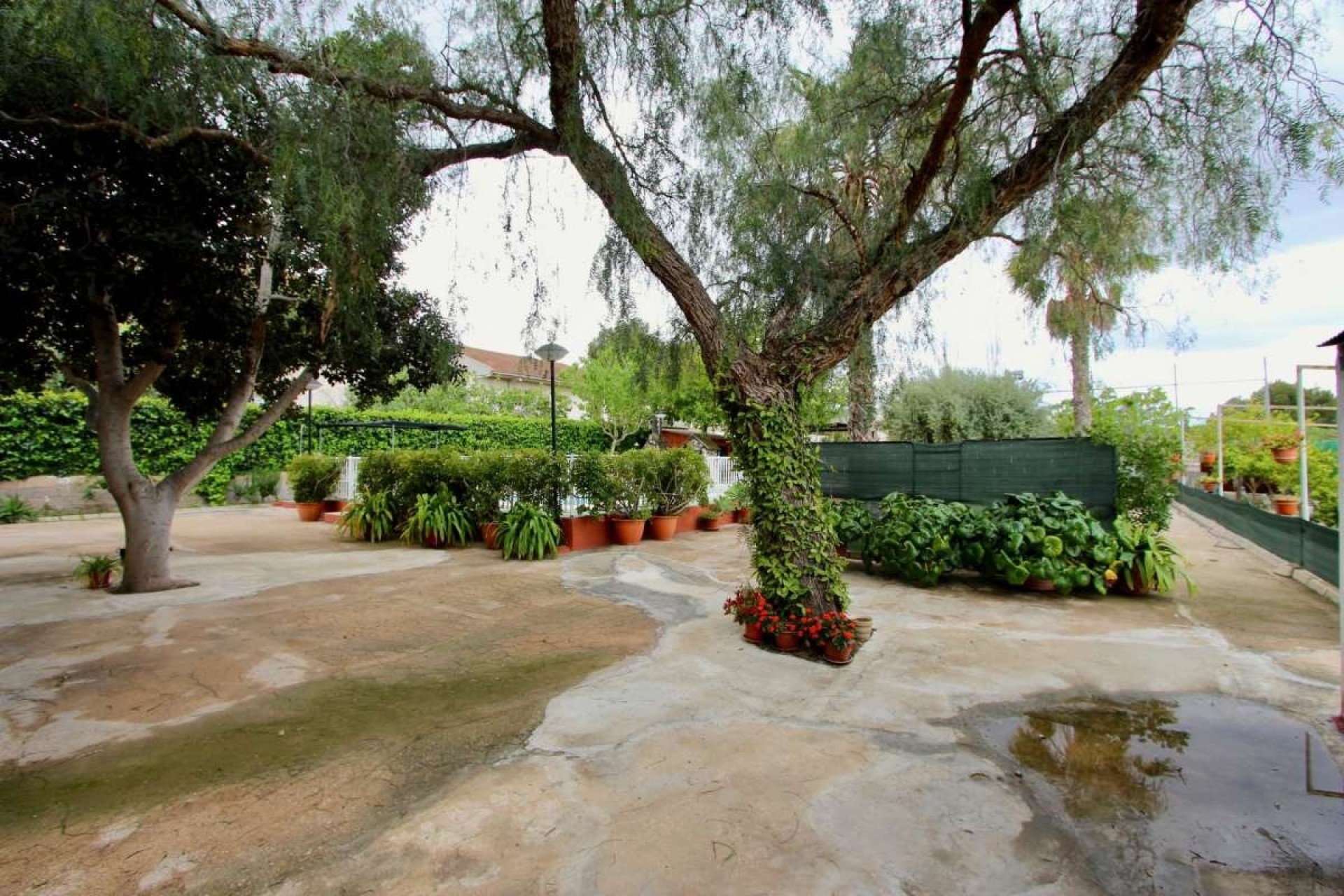 Revente - Villa Individuelle -
Cañadas de San Pedro - Inland