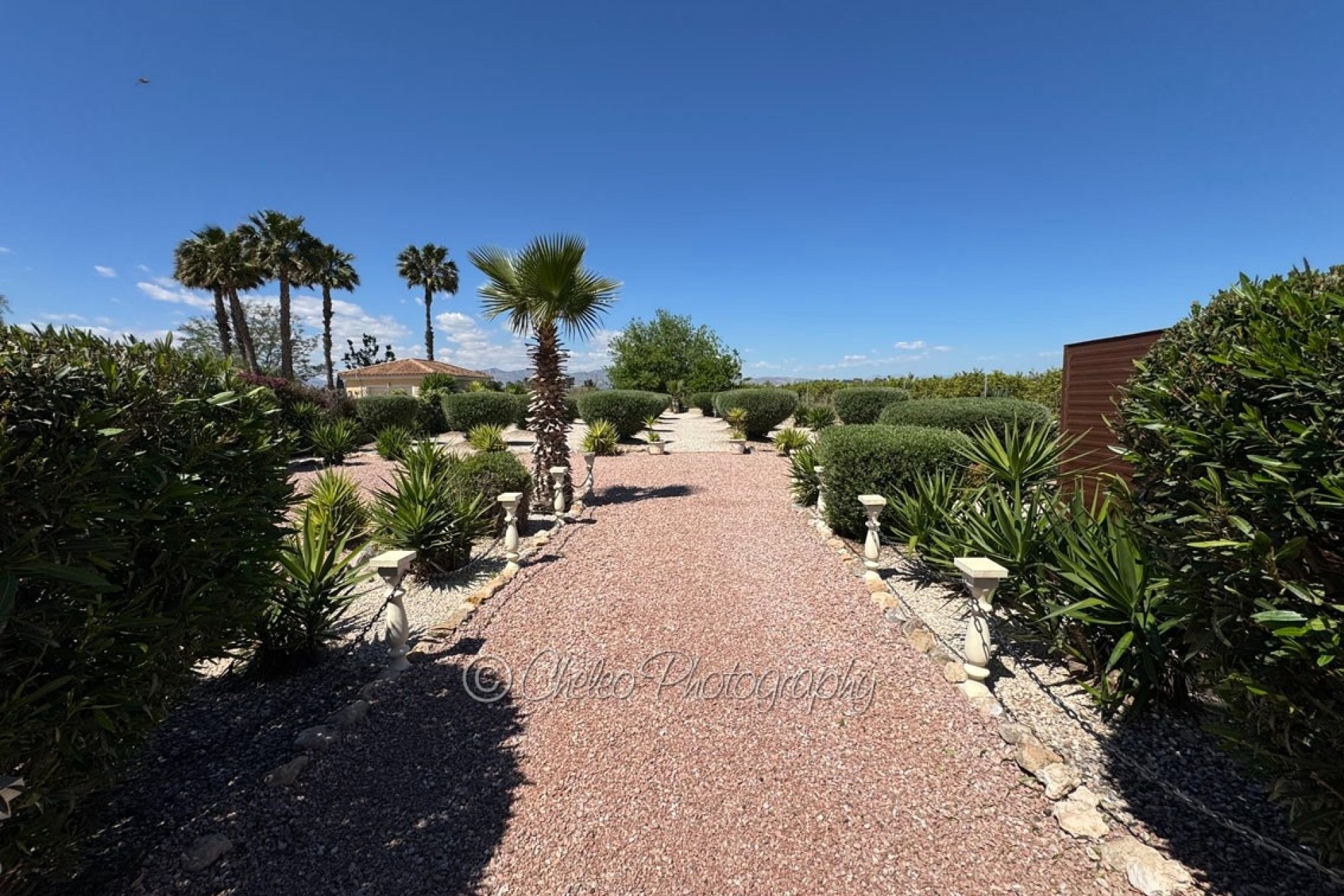 Revente - Villa Individuelle -
Catral - CatralAlicanteValenciaSpain