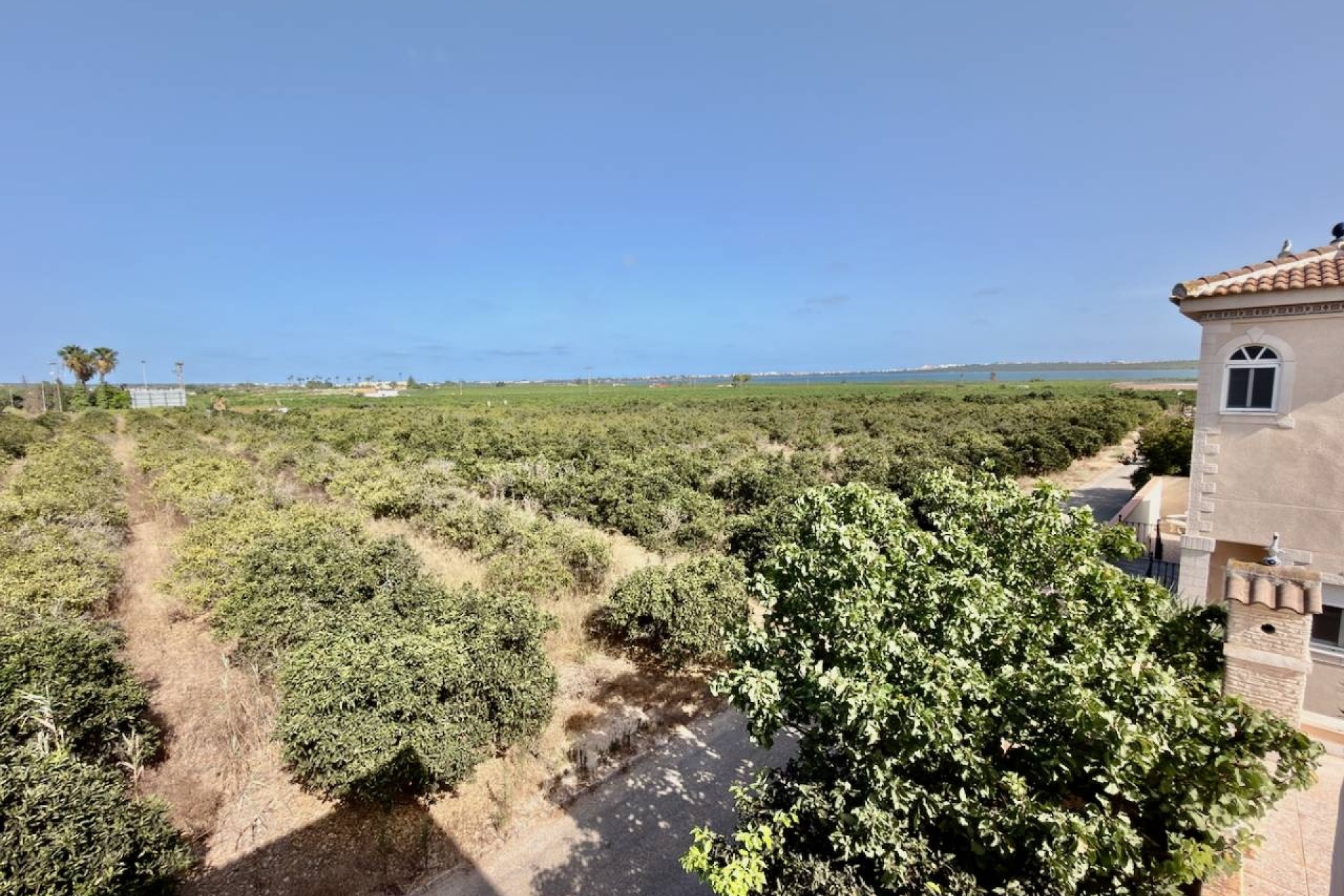 Revente - Villa Individuelle -
Ciudad Quesada - Rojales - Doña Pepa