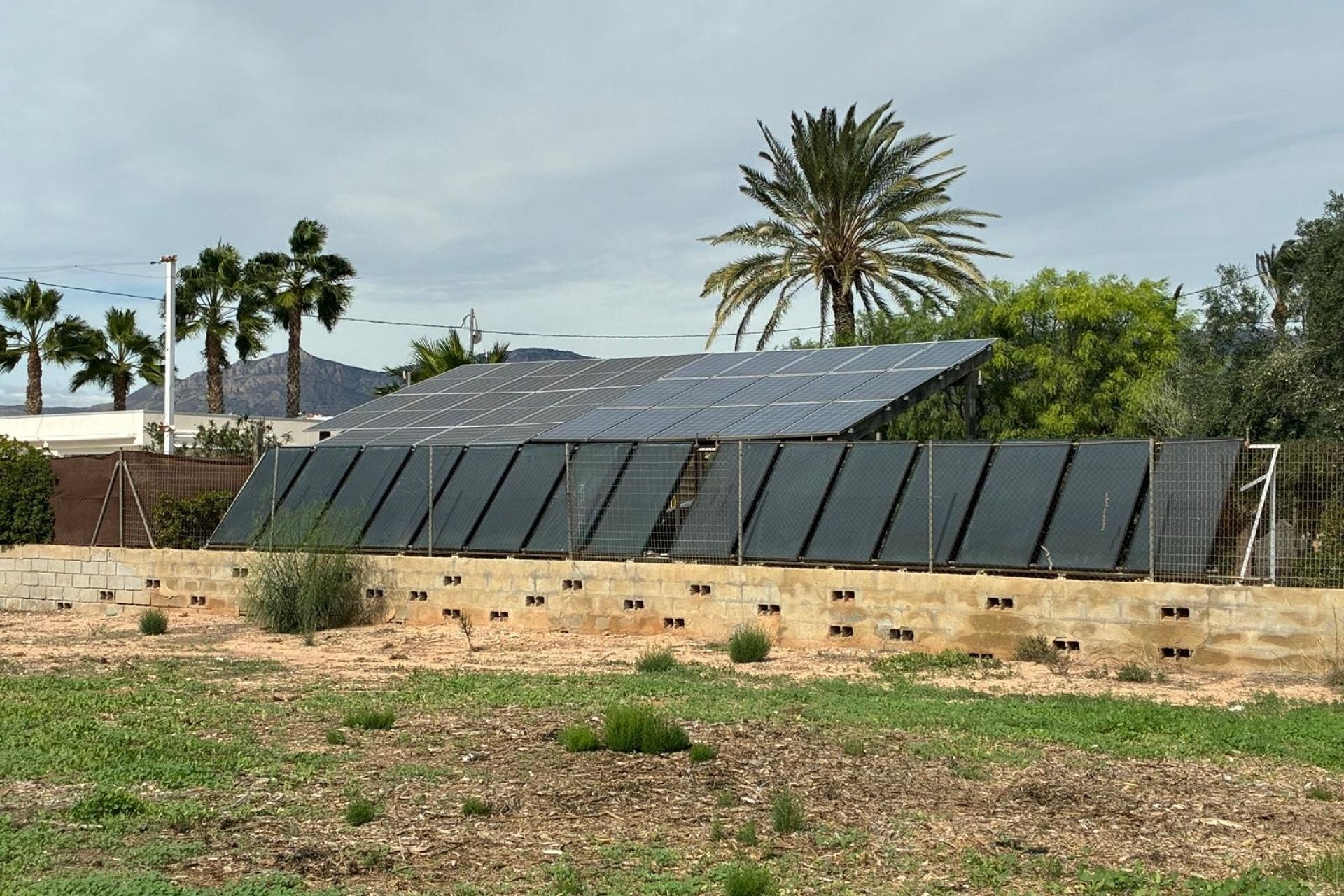 Revente - Villa Individuelle -
Crevillente