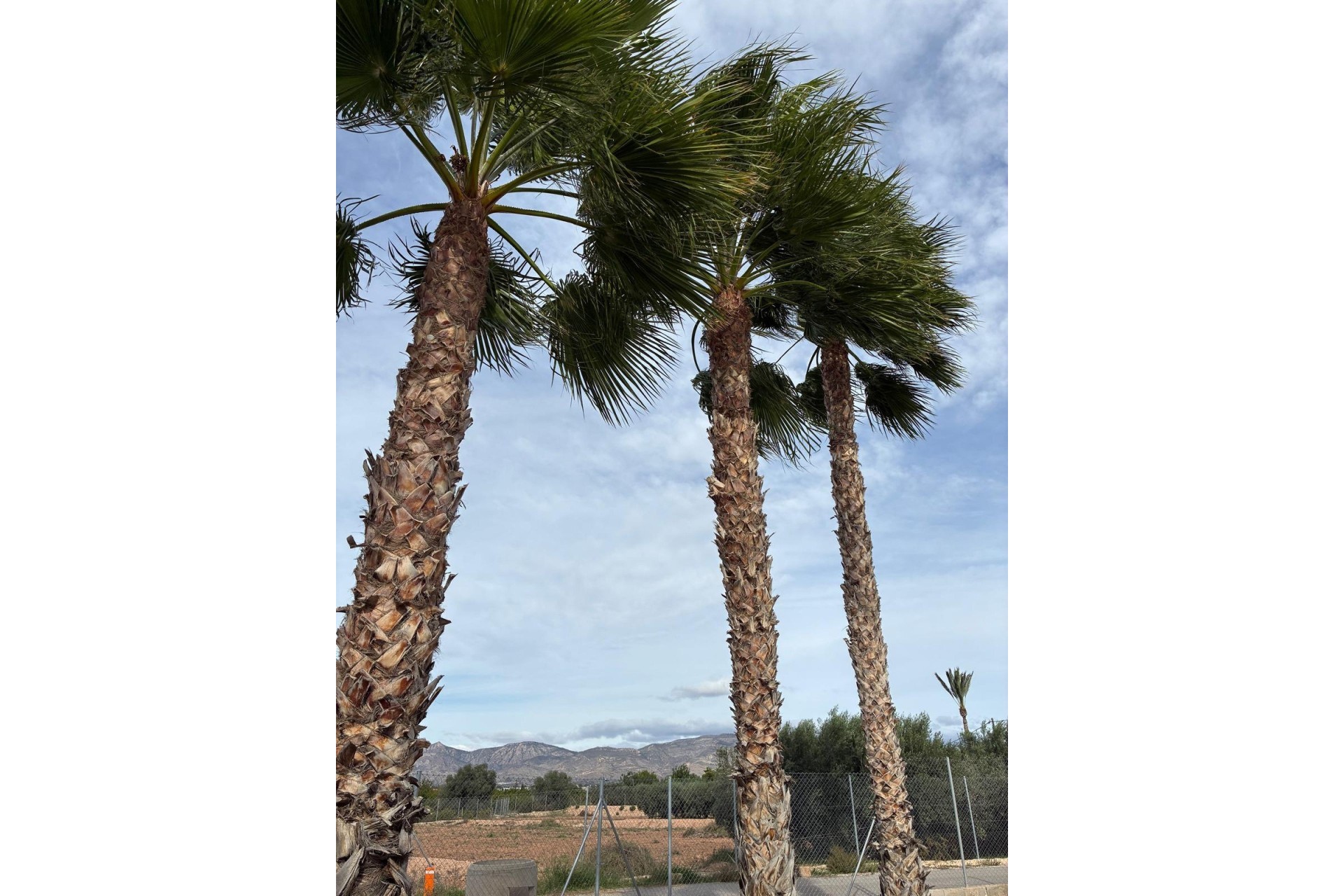 Revente - Villa Individuelle -
Crevillente