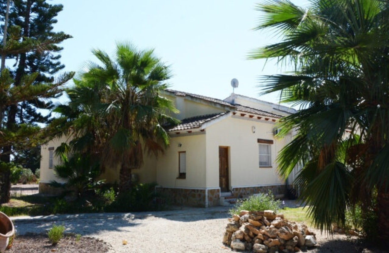 Revente - Villa Individuelle -
Daya Vieja