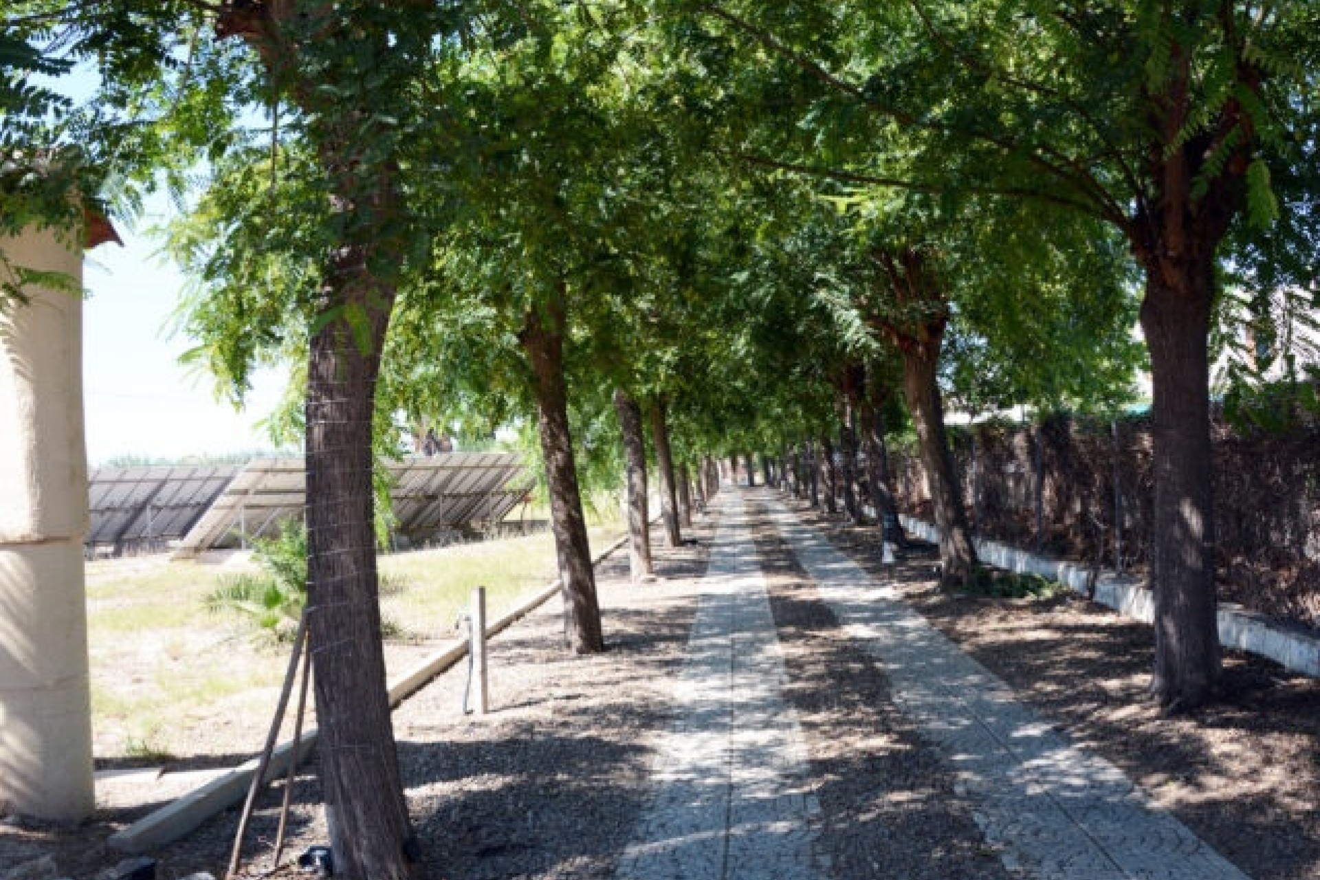 Revente - Villa Individuelle -
Daya Vieja