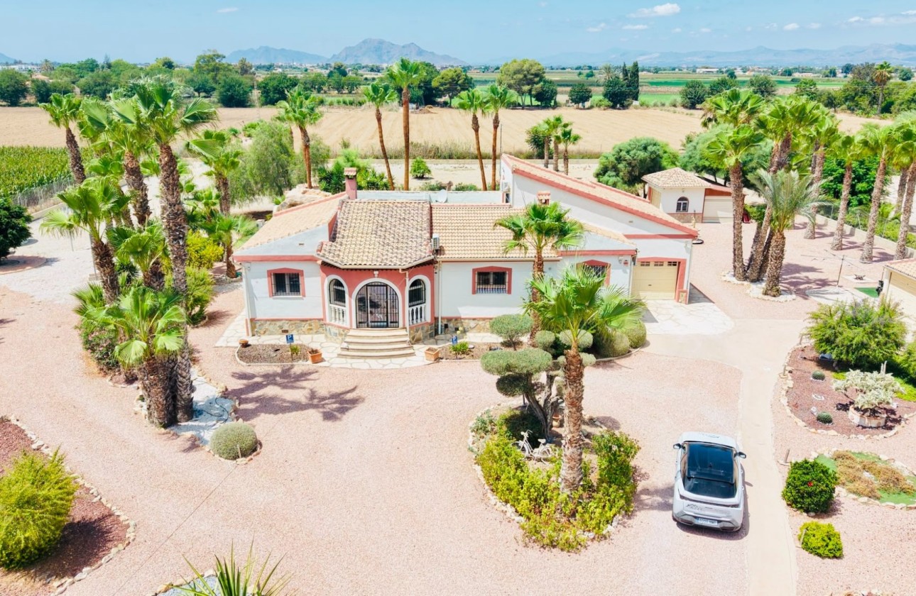 Revente - Villa individuelle -
Daya Vieja