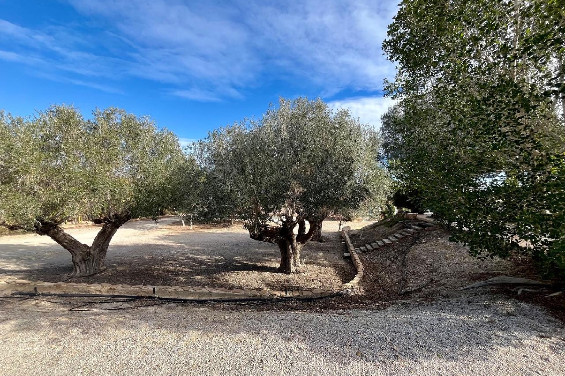 Revente - Villa Individuelle -
El Esparragal - Inland