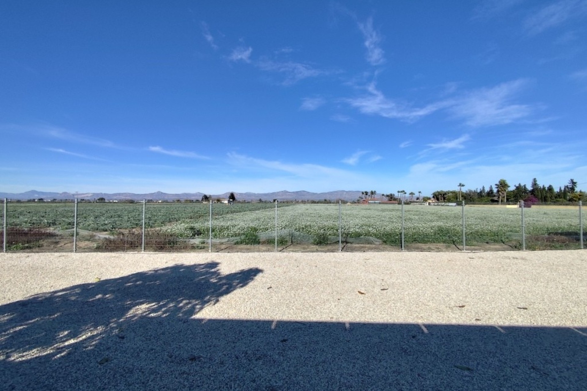 Revente - Villa Individuelle -
El Mudamiento