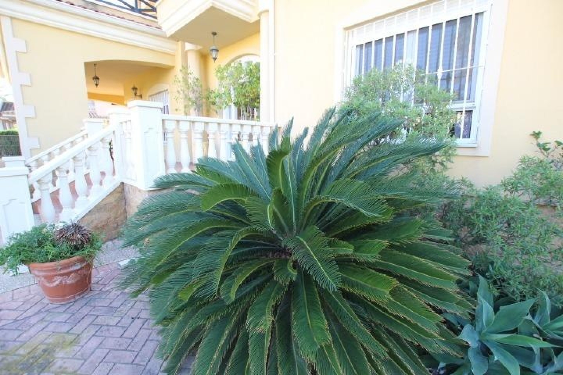 Revente - Villa Individuelle -
Elche - Altabix