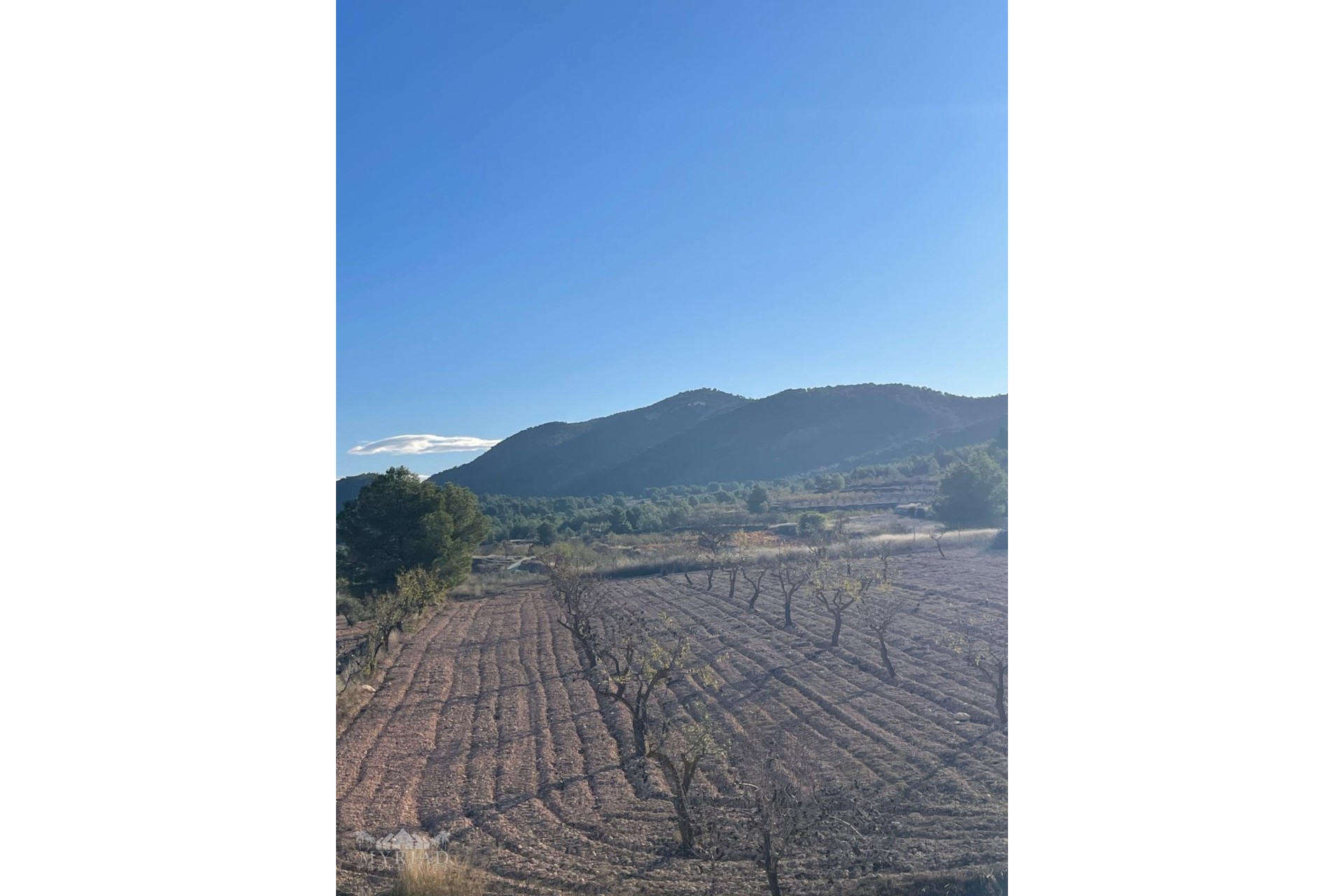 Revente - Villa Individuelle -
Encebras - Encebras Alicante