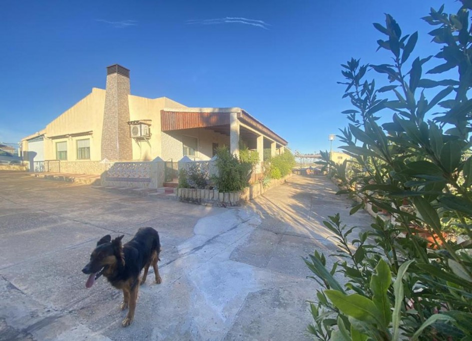 Revente - Villa Individuelle -
Gea y Truyols