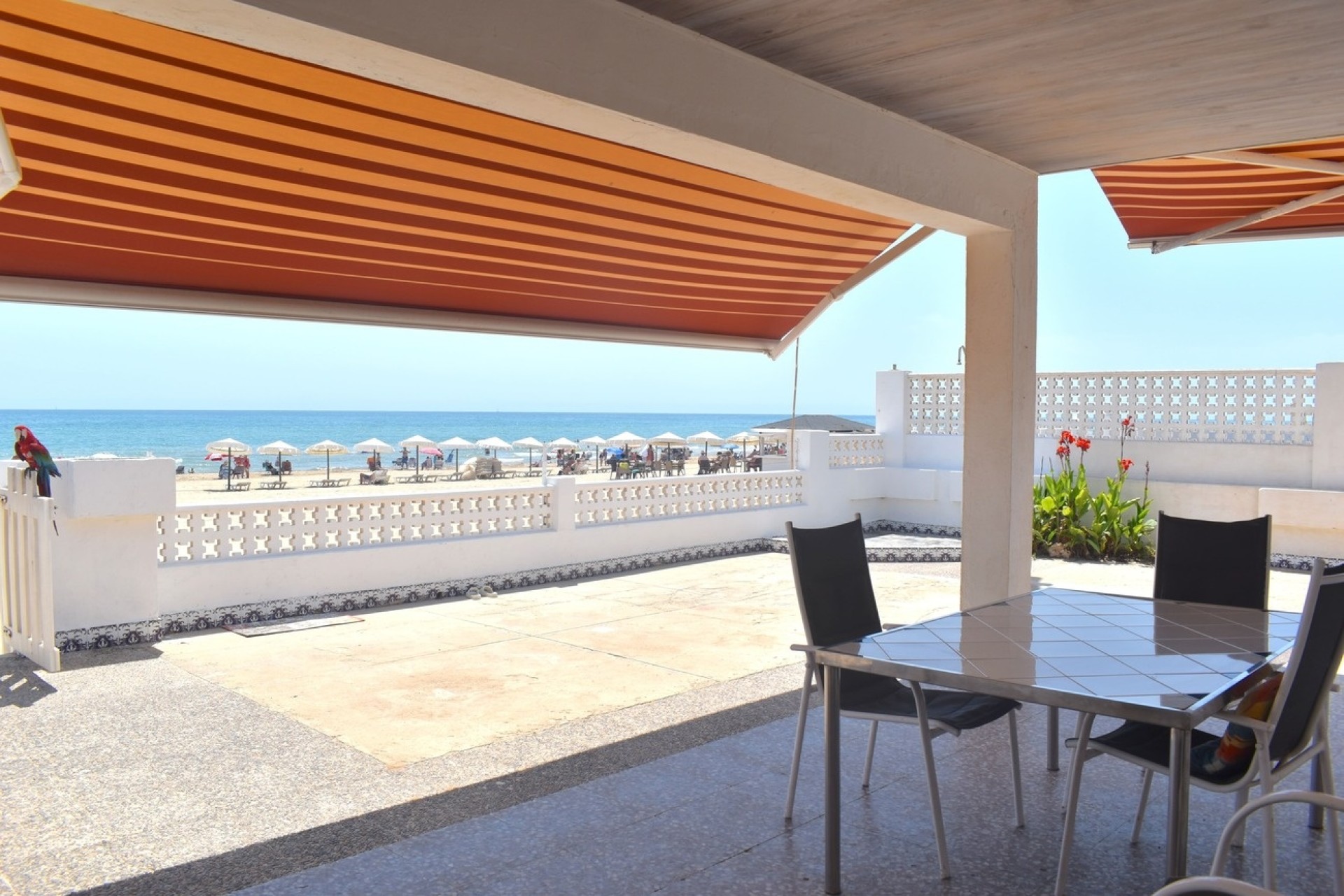 Revente - Villa Individuelle -
Guardamar del Segura - Costa Blanca