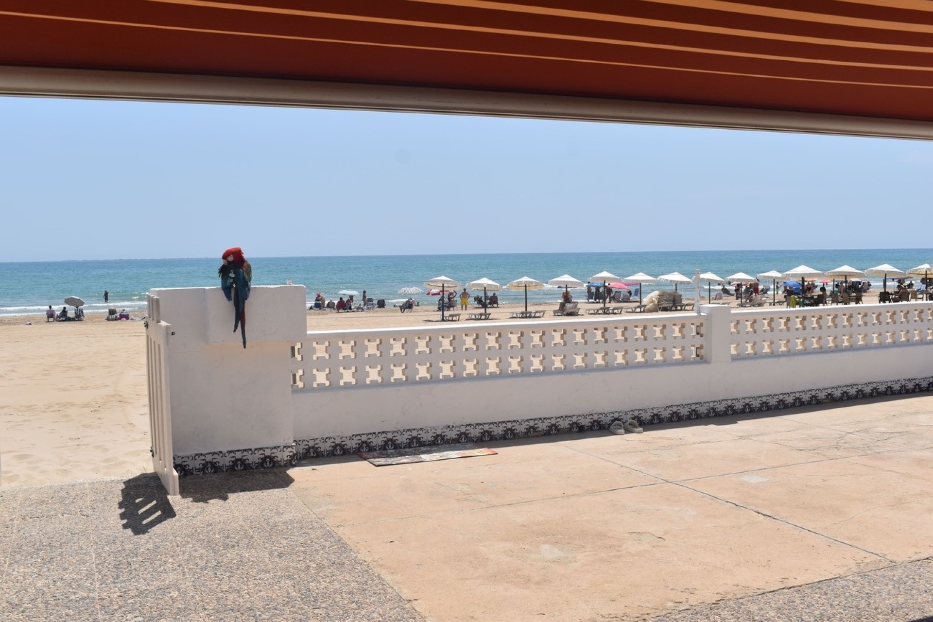 Revente - Villa Individuelle -
Guardamar del Segura - Costa Blanca