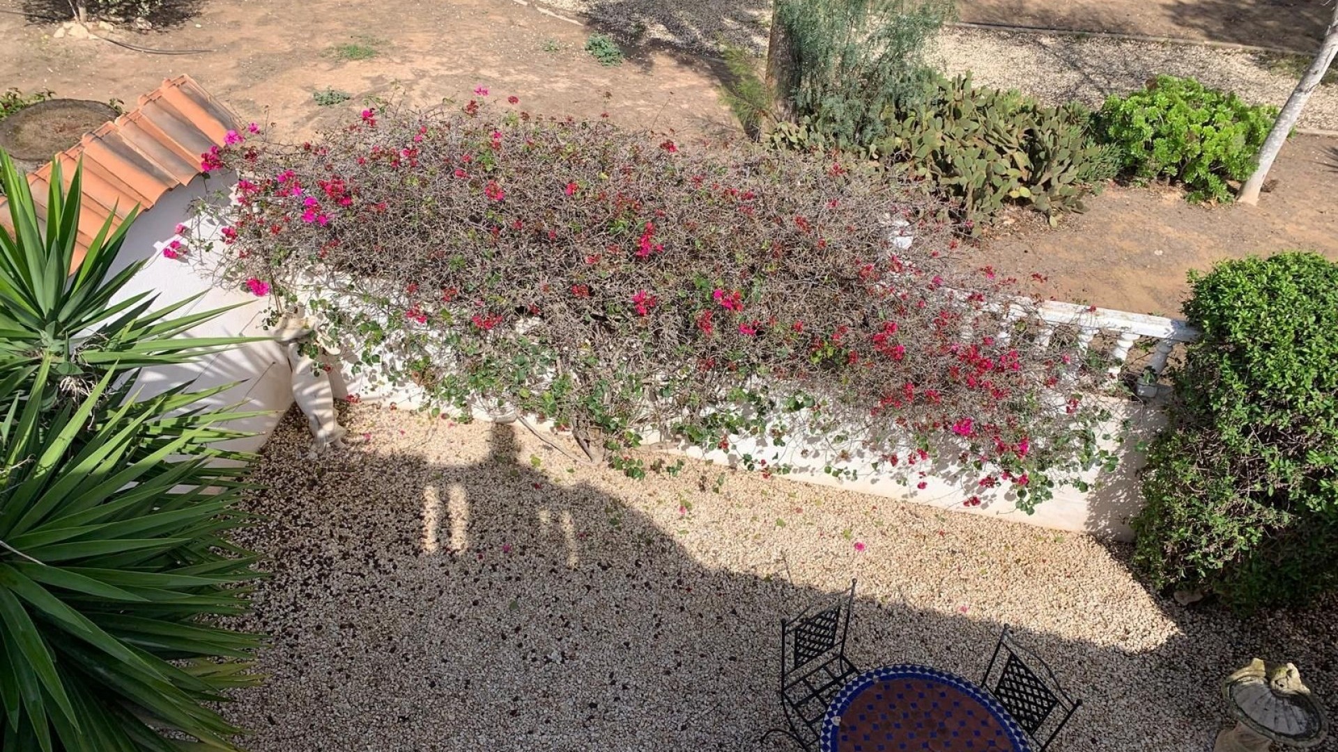 Revente - Villa Individuelle -
Guardamar del Segura - Guardamar - El Raso