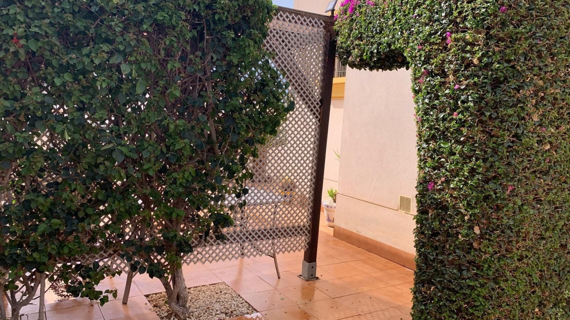 Revente - Villa Individuelle -
Guardamar del Segura - Guardamar - El Raso