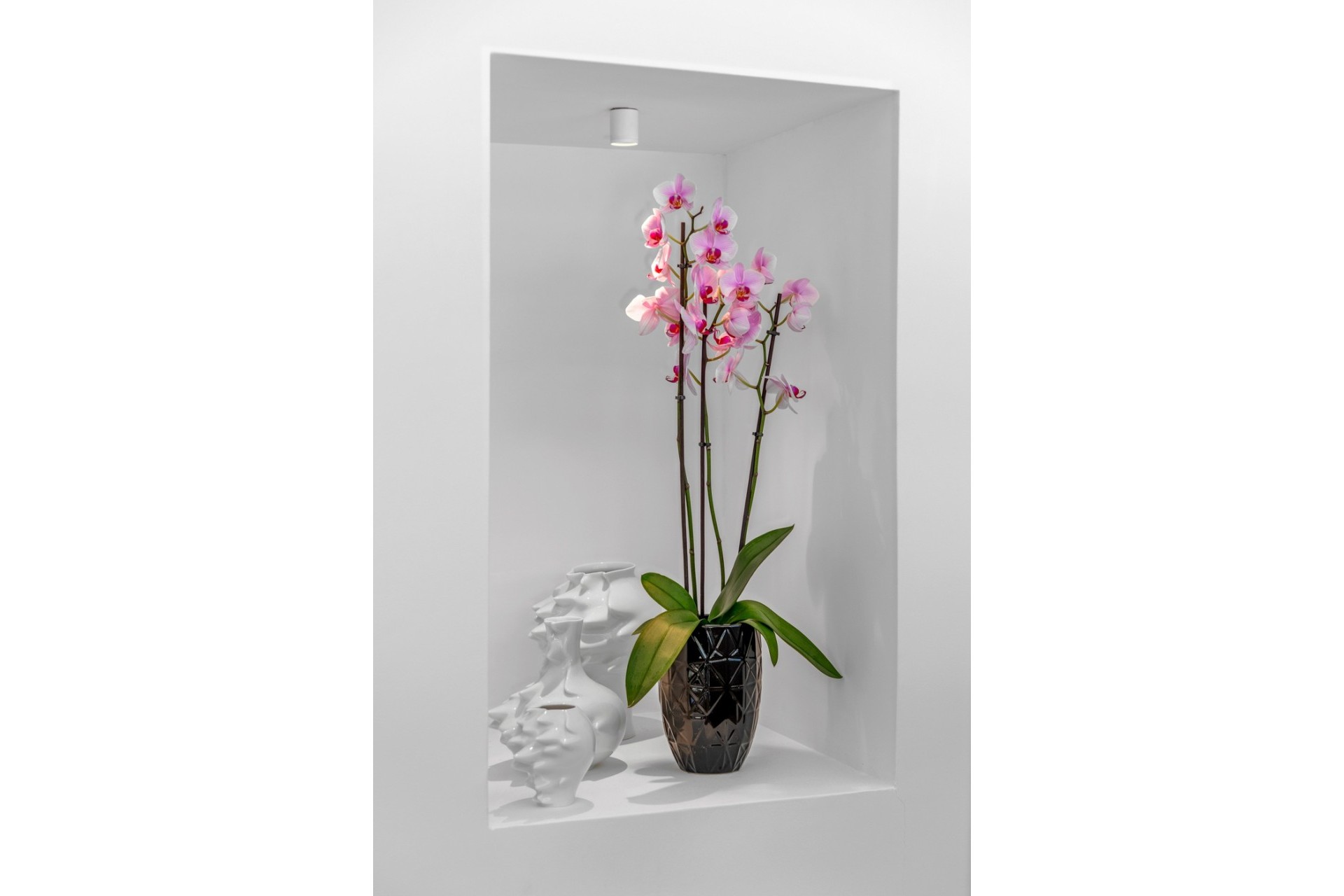 Revente - Villa Individuelle -
Guardamar del Segura