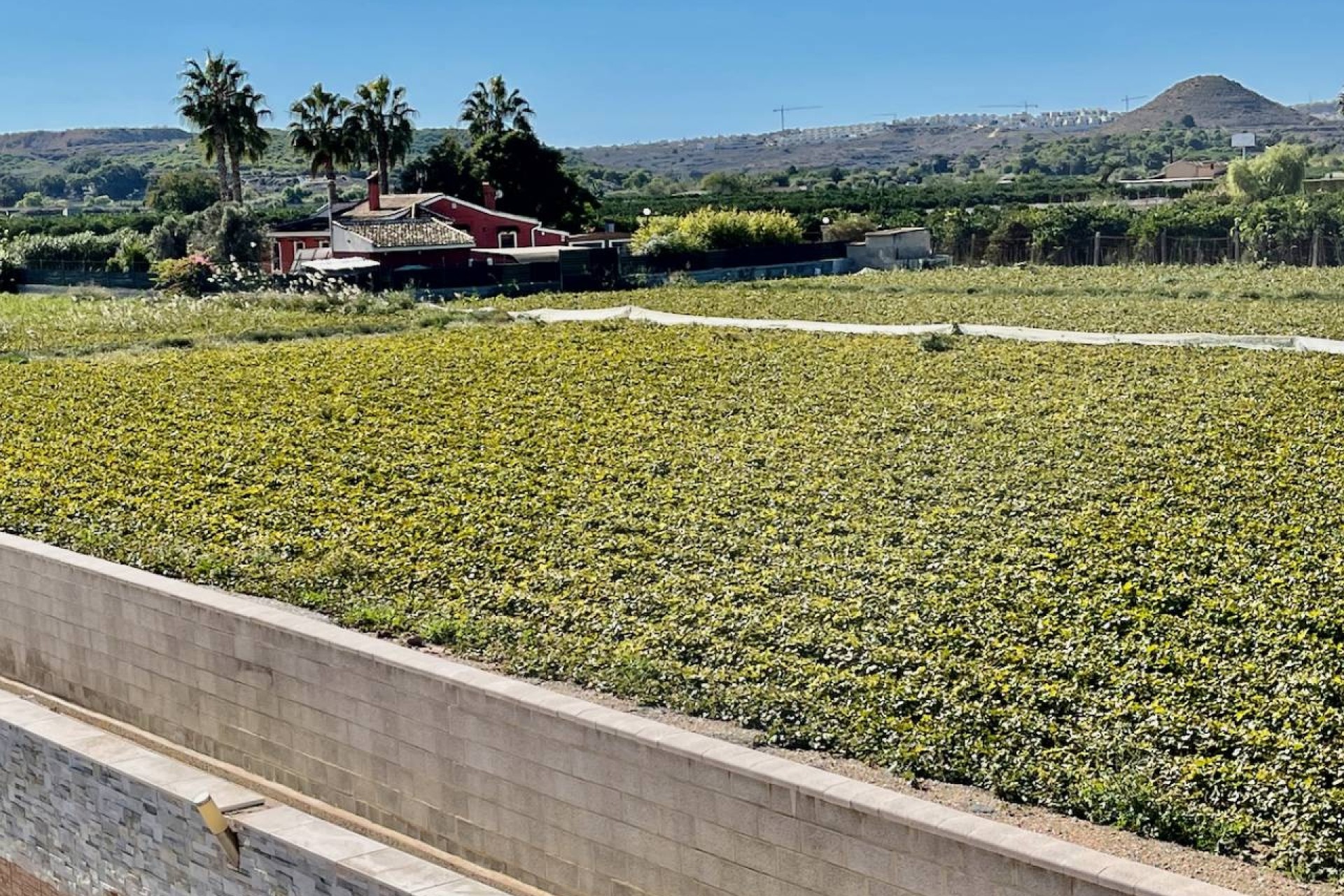 Revente - Villa Individuelle -
Guardamar del Segura