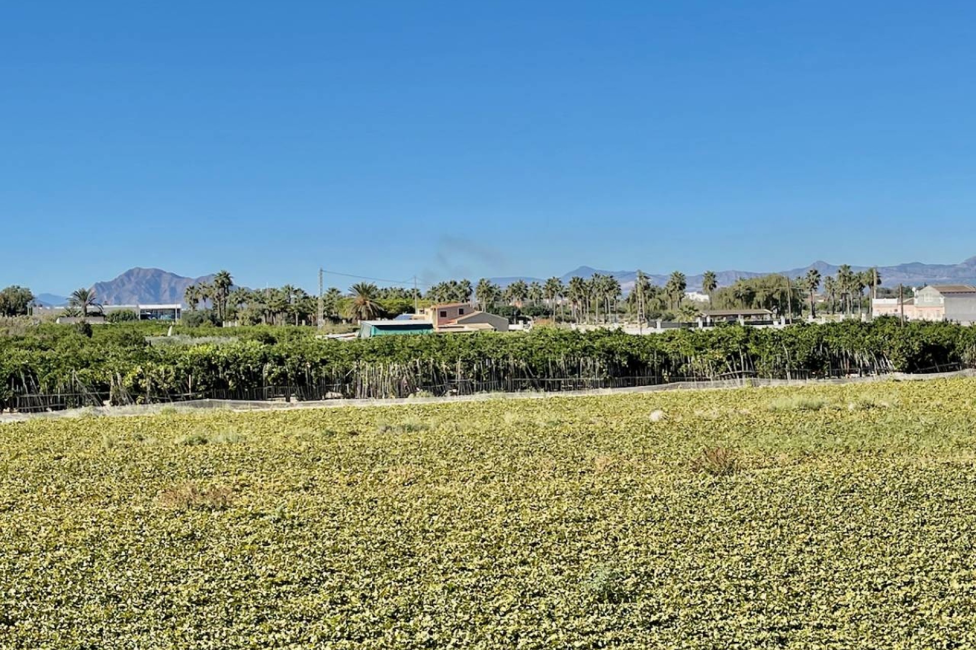 Revente - Villa Individuelle -
Guardamar del Segura