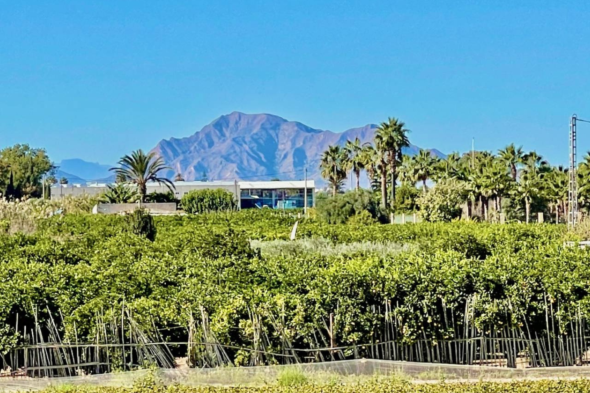 Revente - Villa Individuelle -
Guardamar del Segura