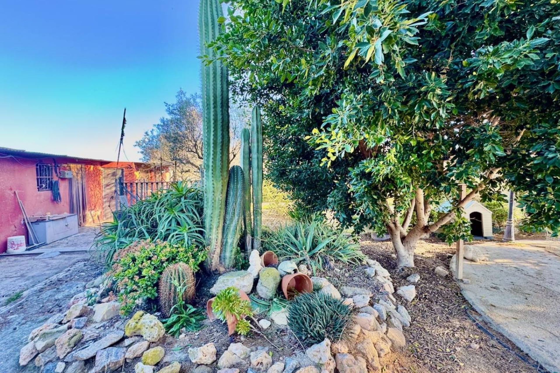 Revente - Villa Individuelle -
Guardamar del Segura