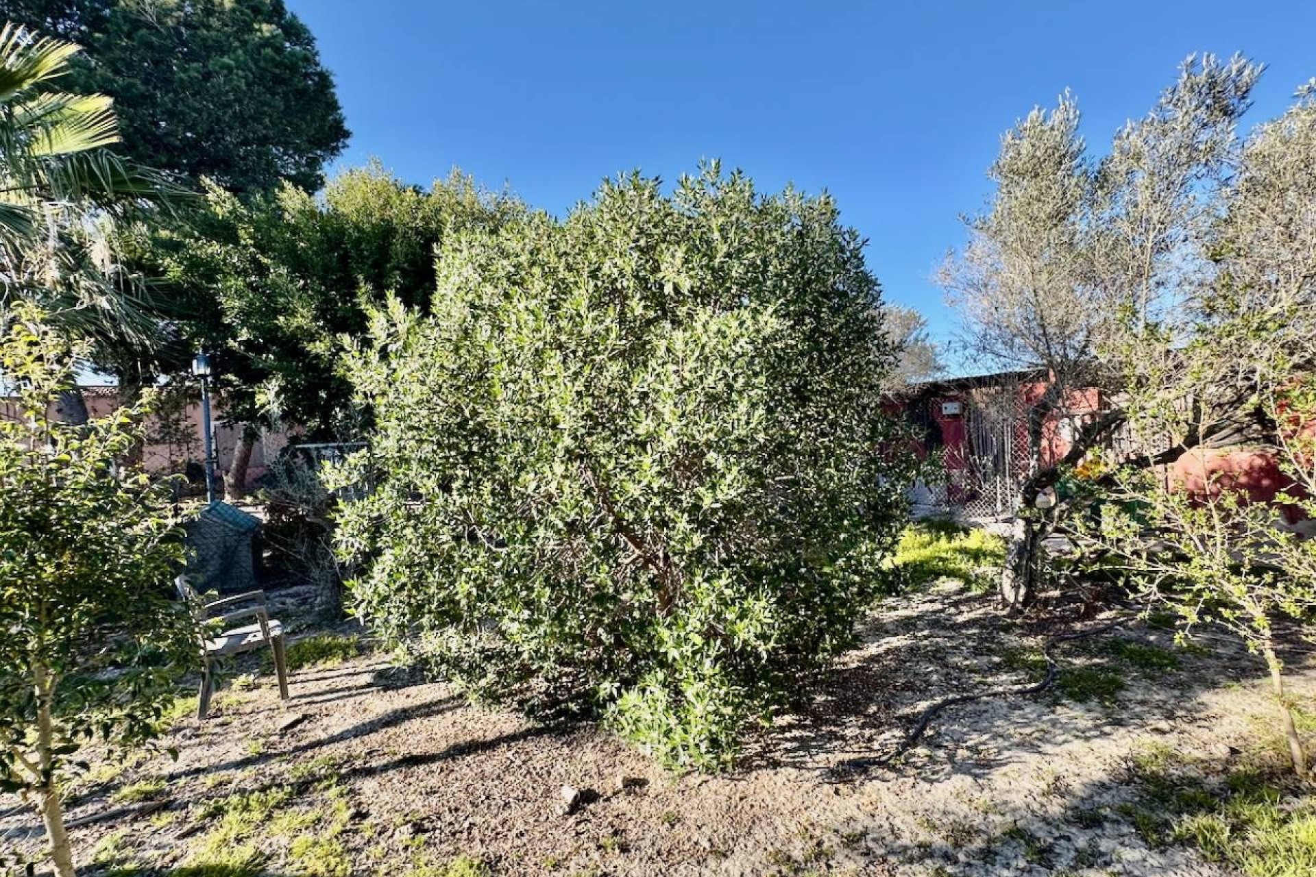 Revente - Villa Individuelle -
Guardamar del Segura