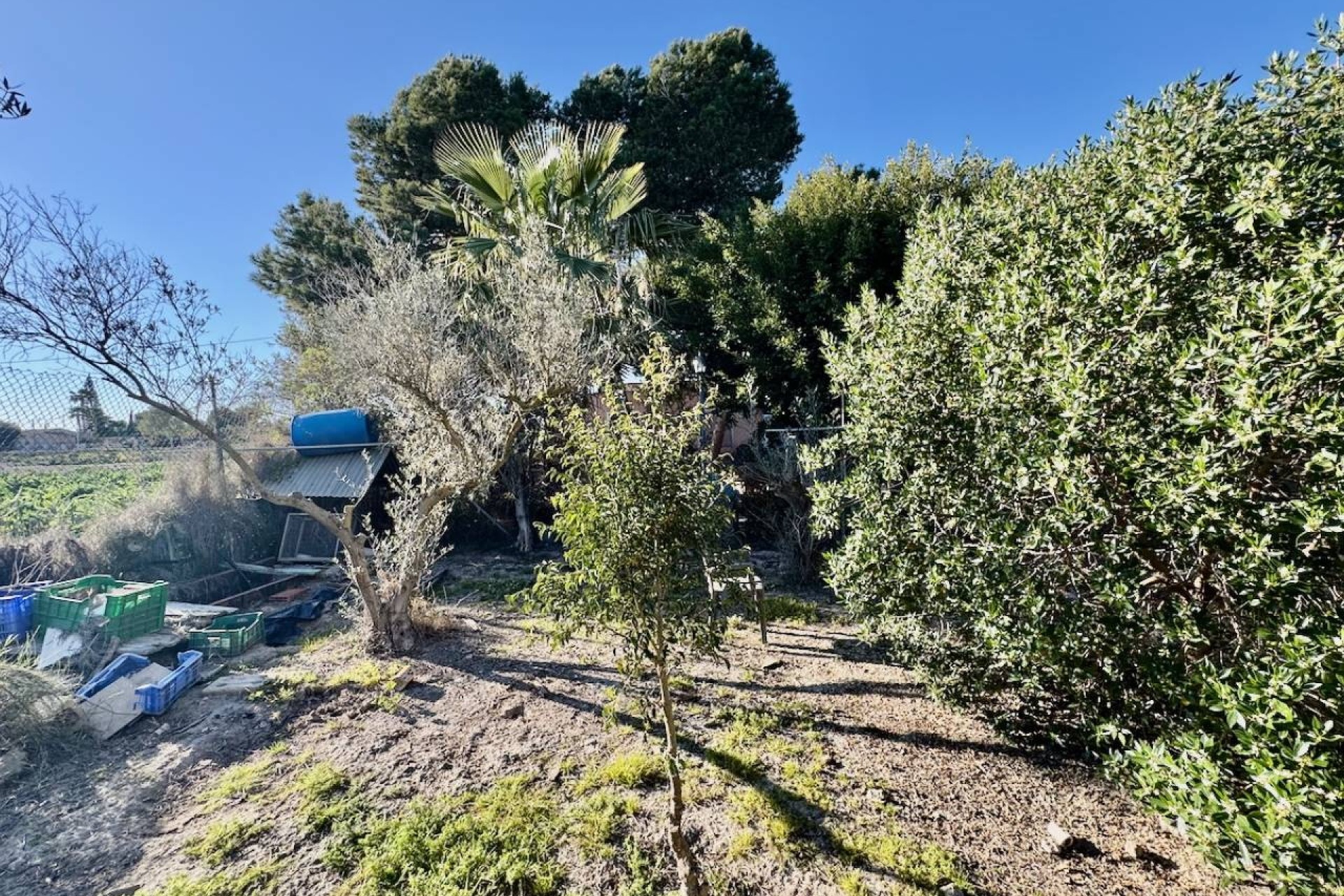 Revente - Villa Individuelle -
Guardamar del Segura