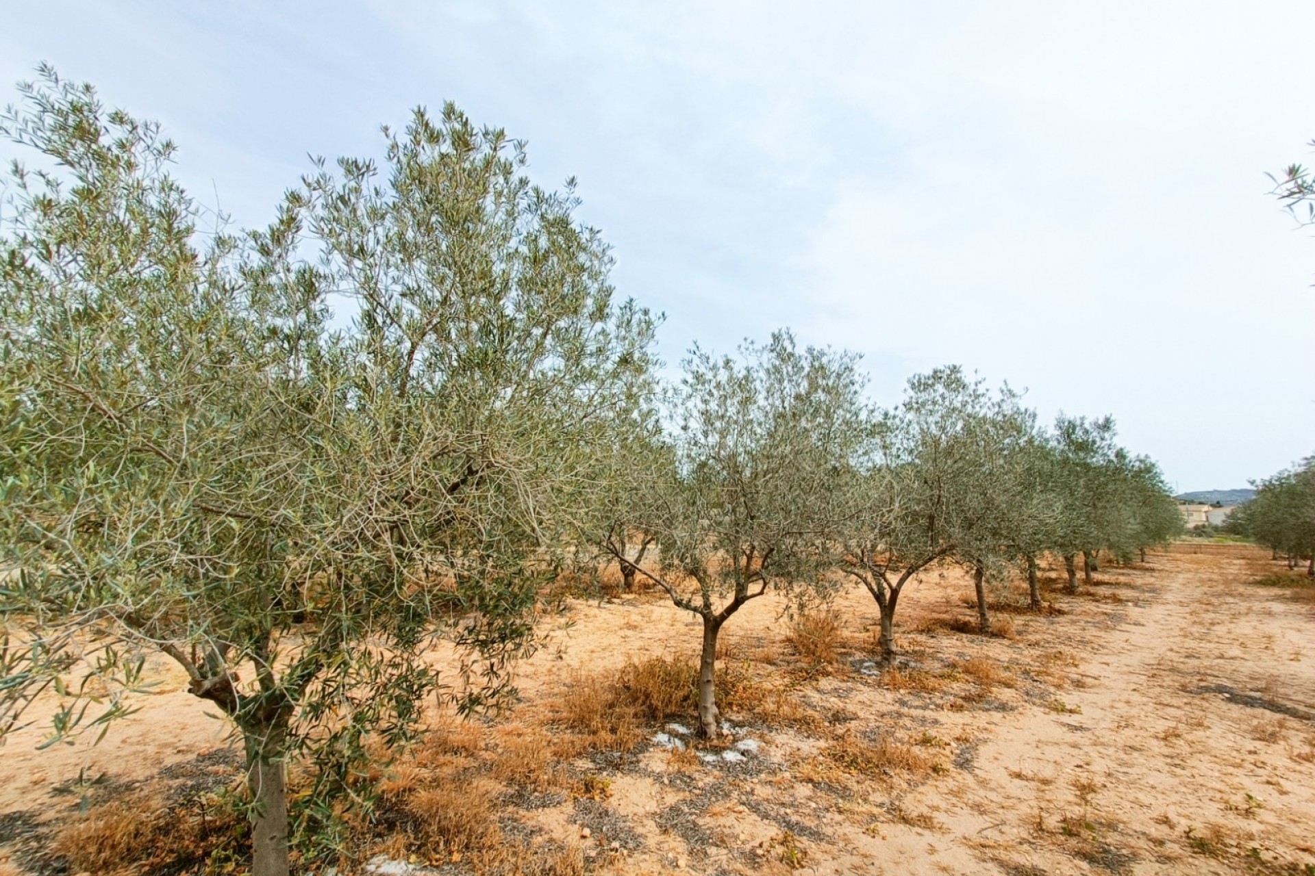 Revente - Villa Individuelle -
Hondón de los Fráiles