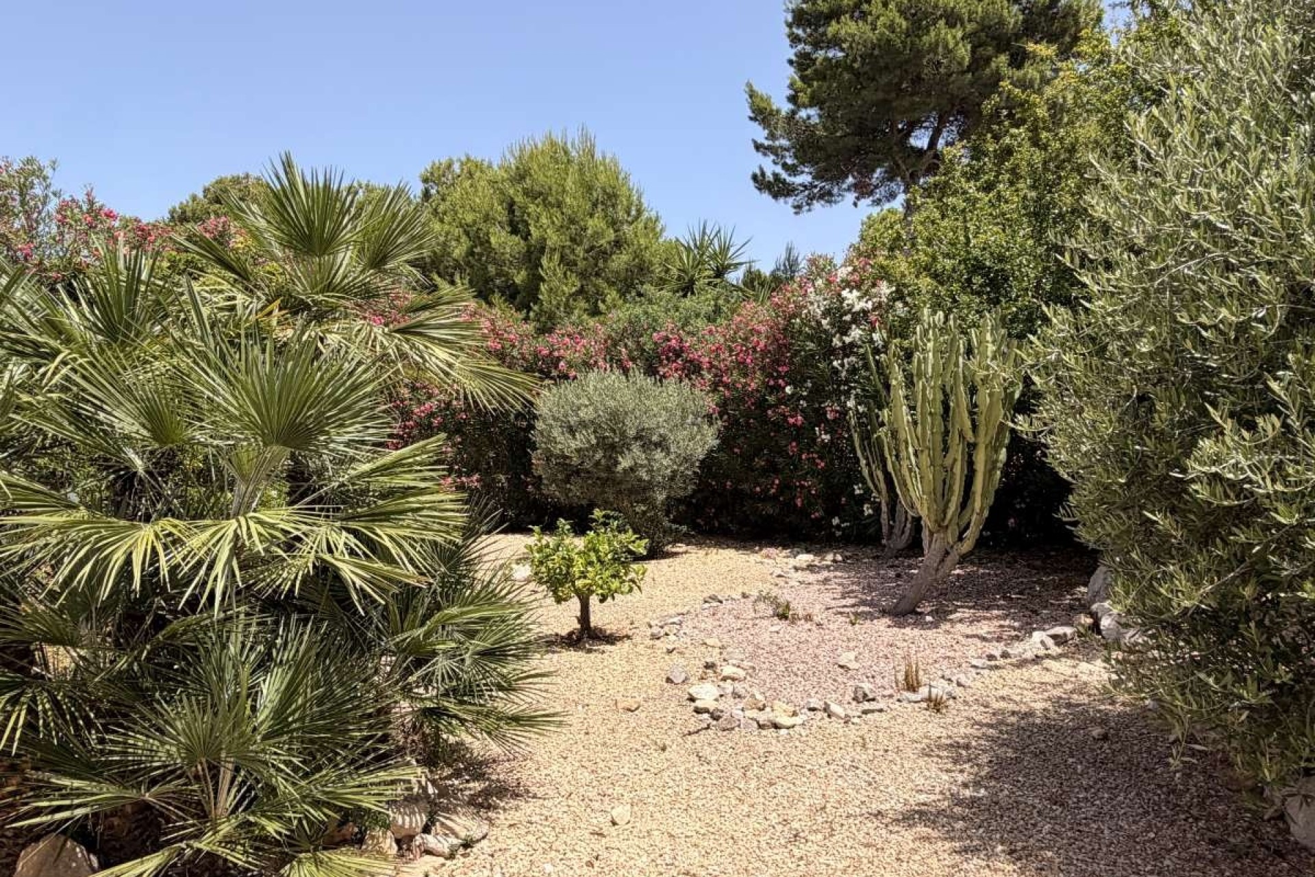 Revente - Villa Individuelle -
Jávea