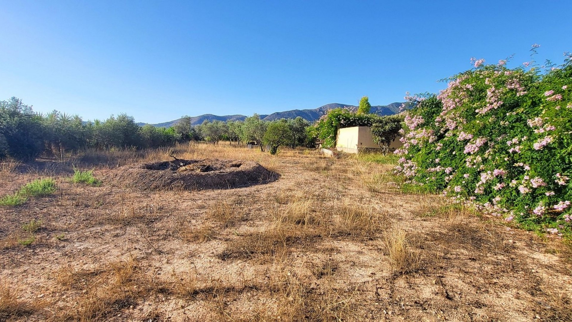 Revente - Villa Individuelle -
La Romana