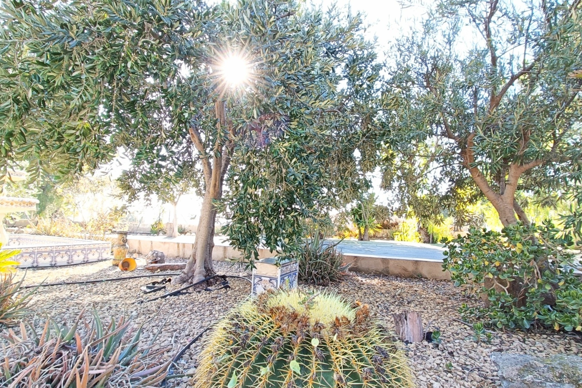 Revente - Villa Individuelle -
La Romana