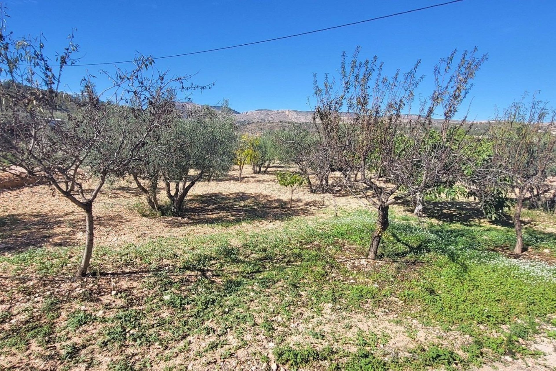 Revente - Villa Individuelle -
La Romana