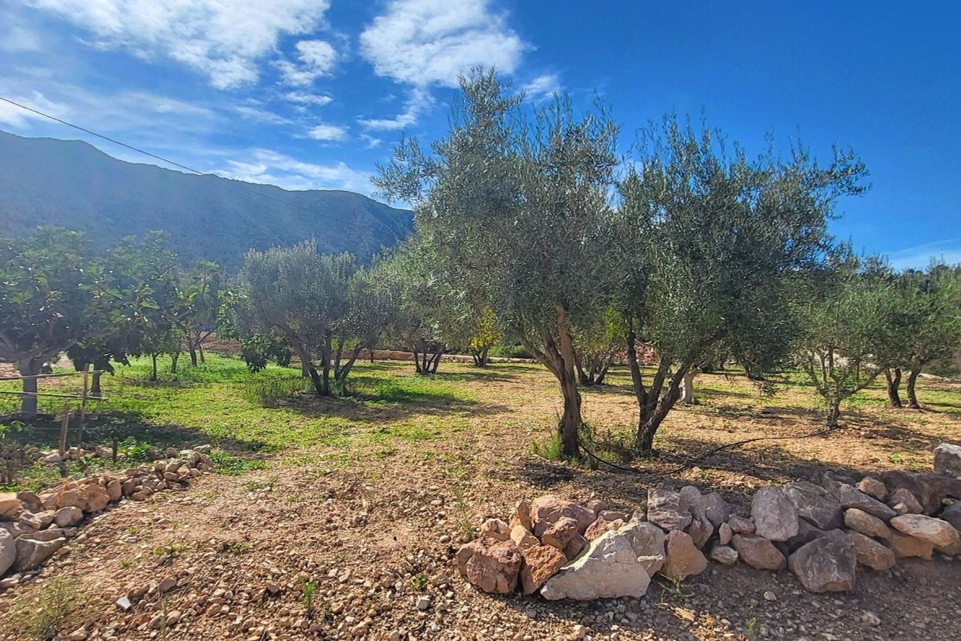 Revente - Villa Individuelle -
La Romana