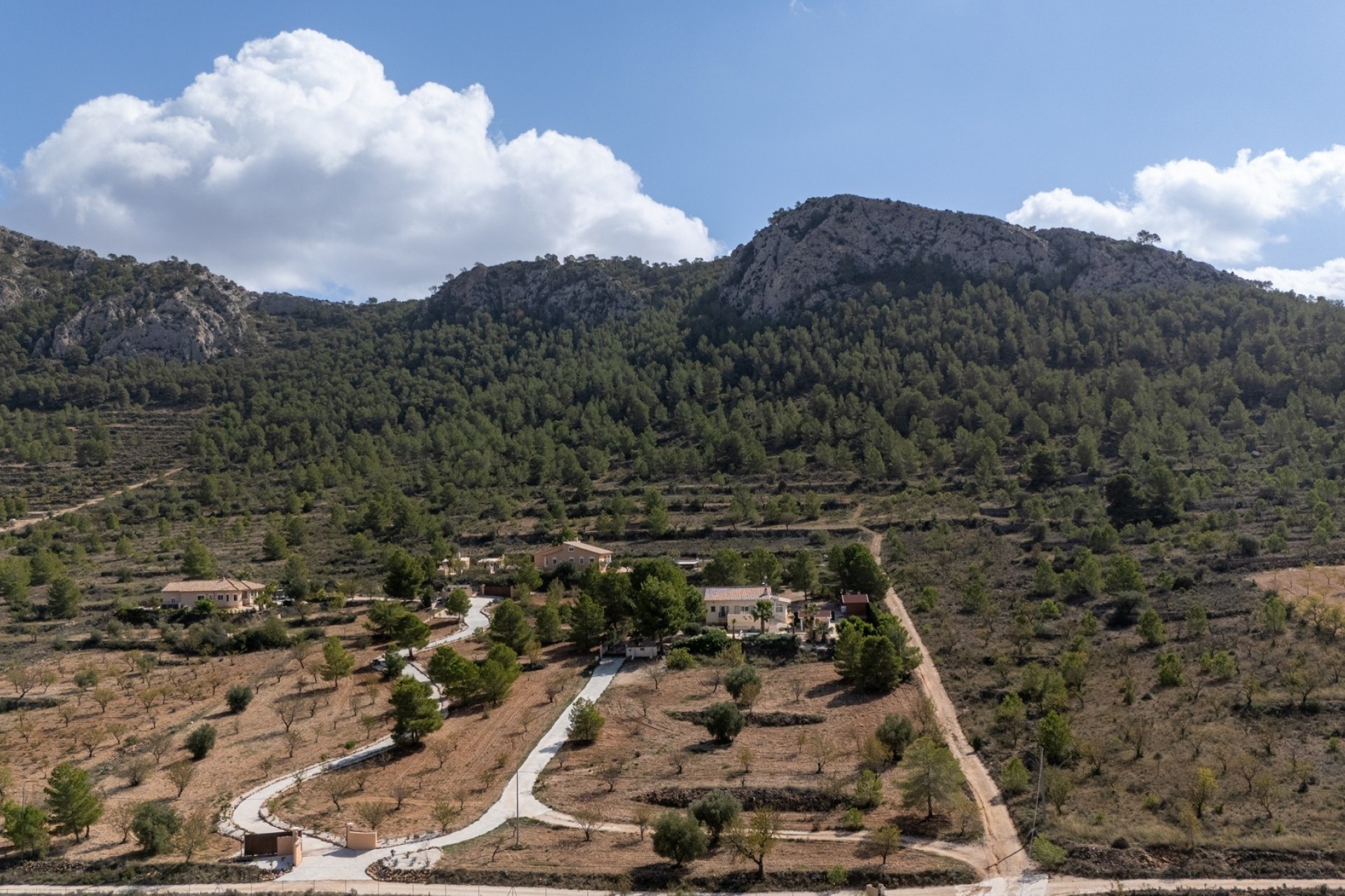 Revente - Villa - Individuelle -
La Zarza