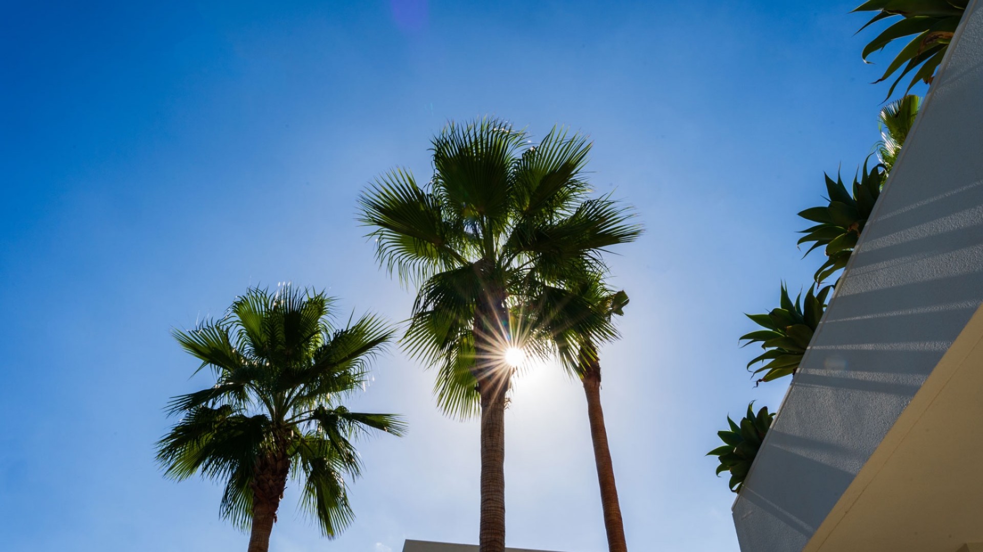 Revente - Villa Individuelle -
Las Colinas - Las Colinas Golf Resort