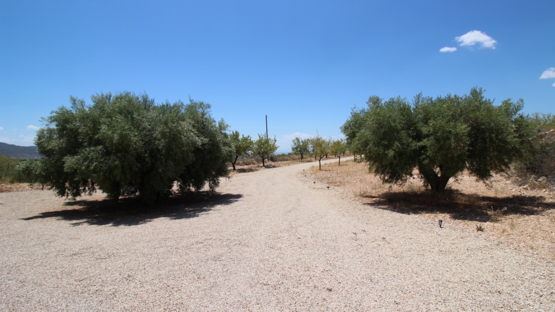 Revente - Villa Individuelle -
Macisvenda